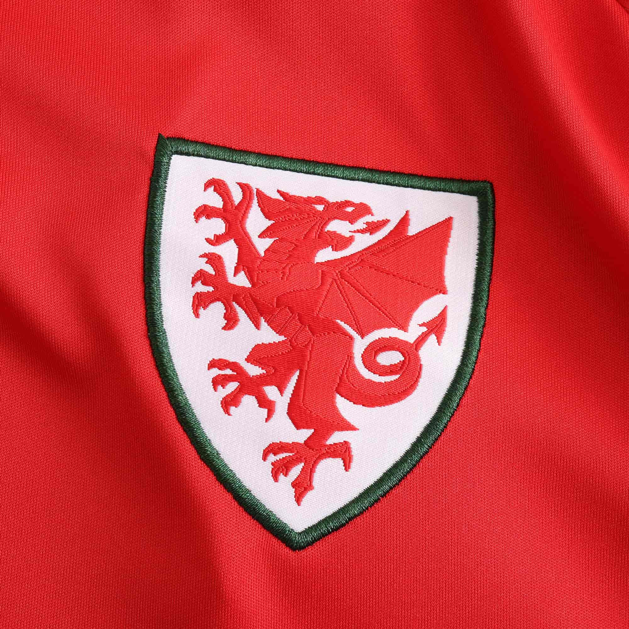 Wales 24-25 Home