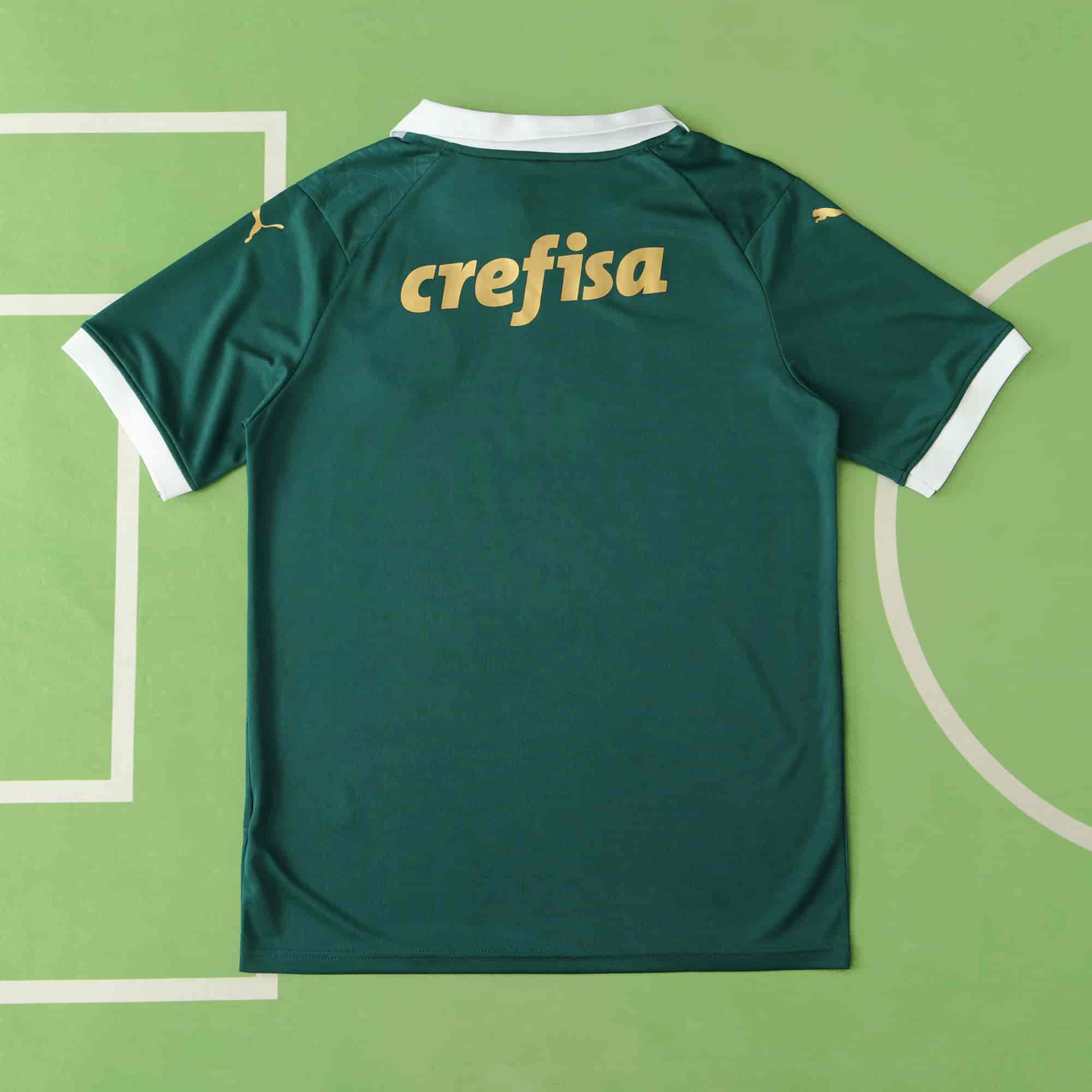 Palmeiras 24-25 Home