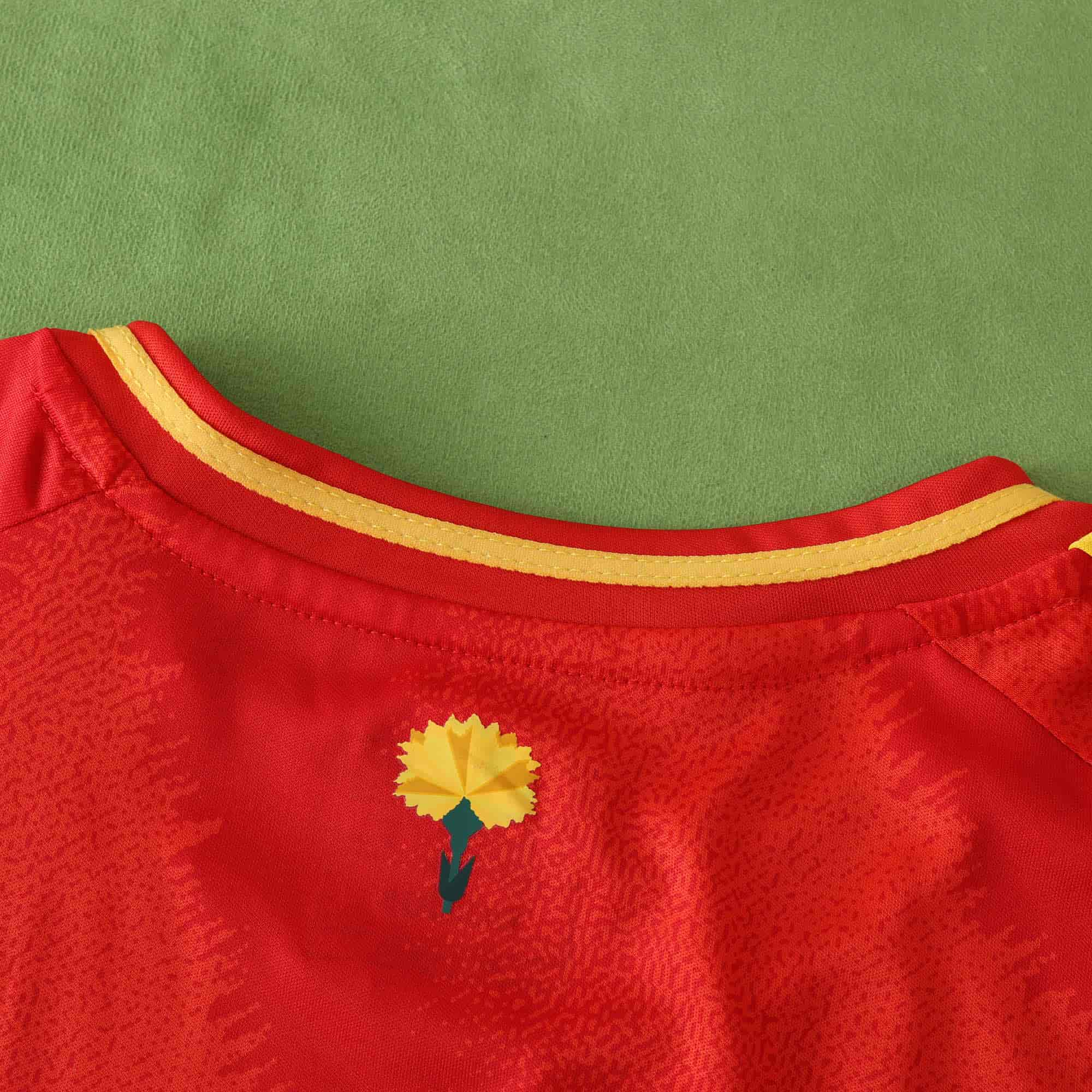 Spain 24-25 Home