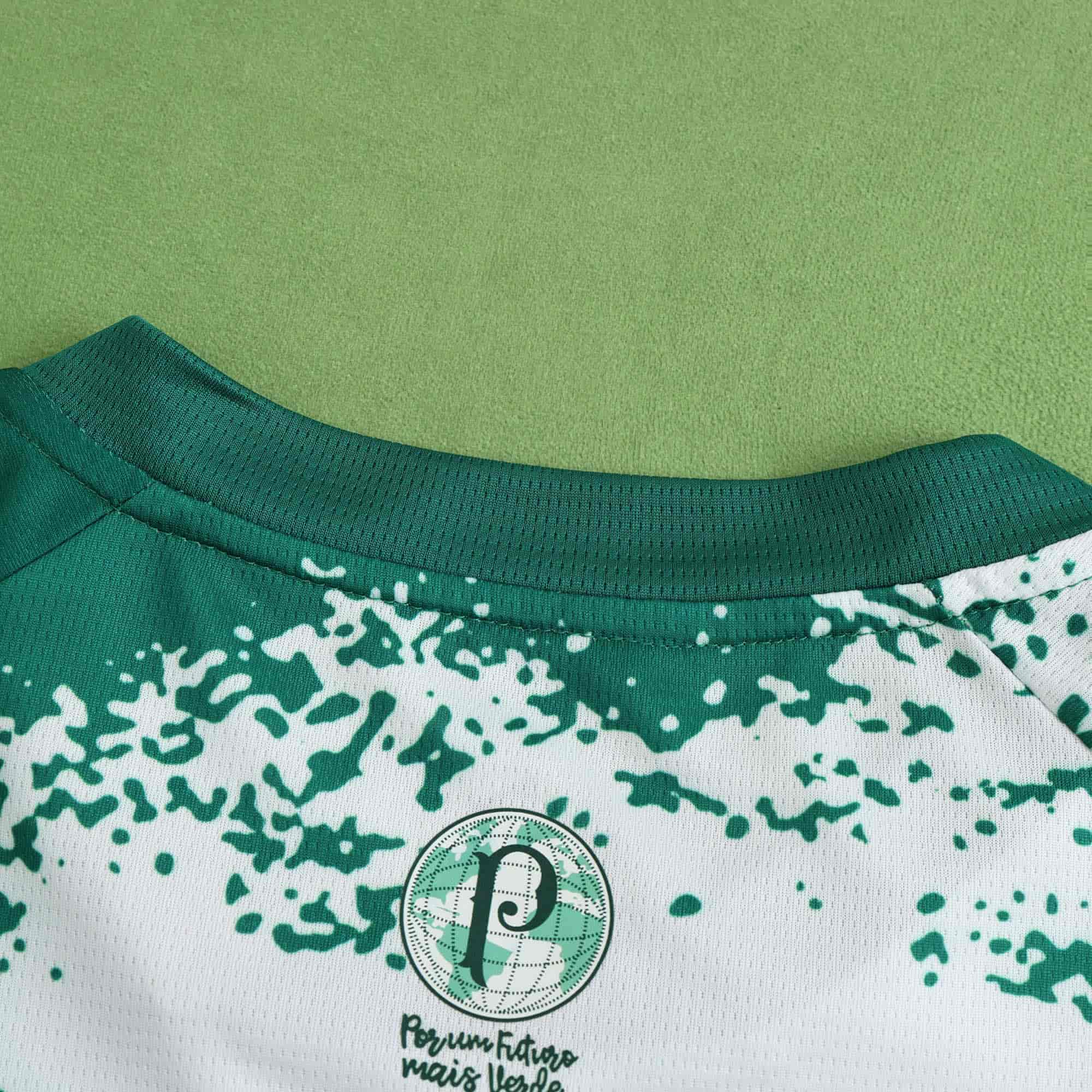 Palmeiras 24-25 Concept