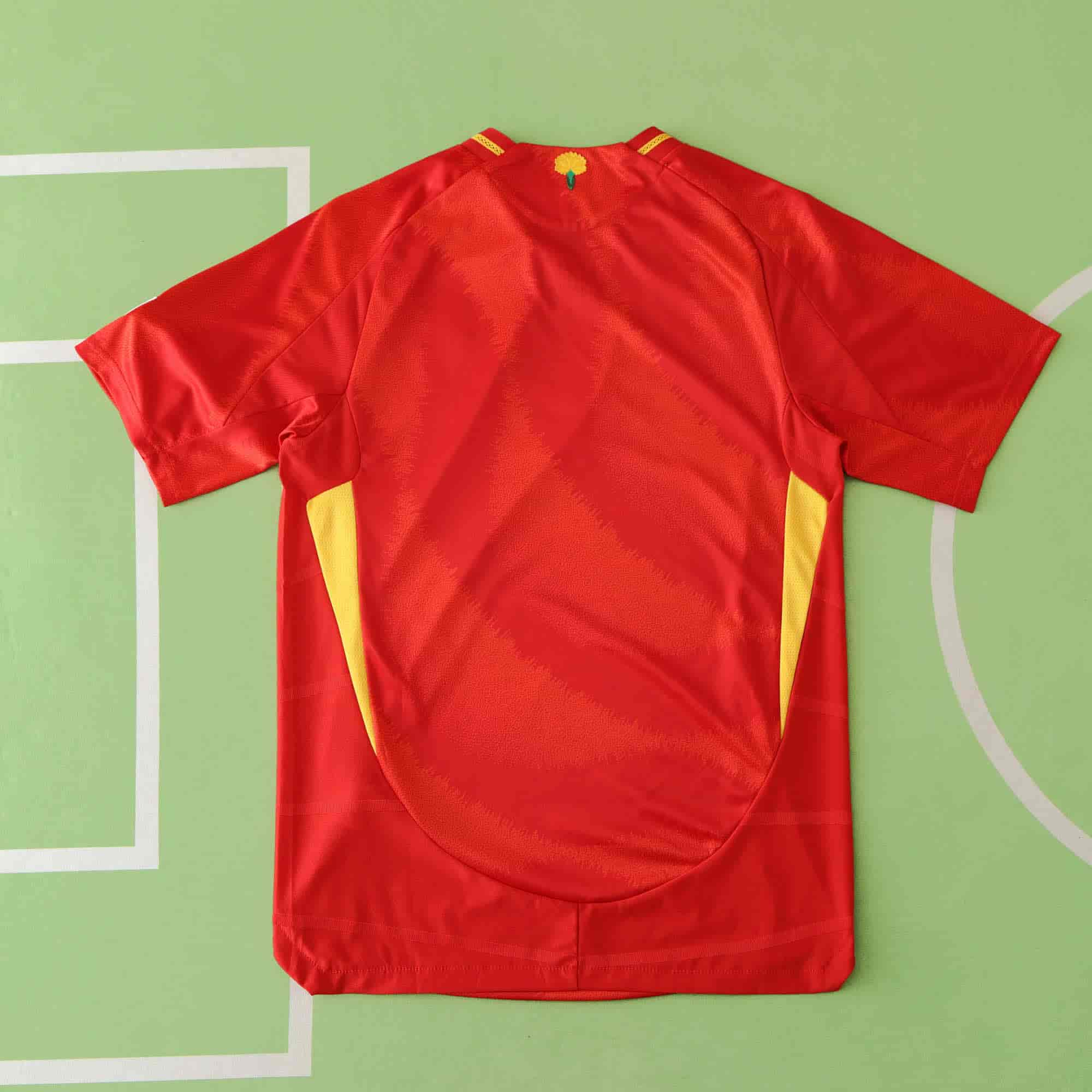 Spain 24-25 Home