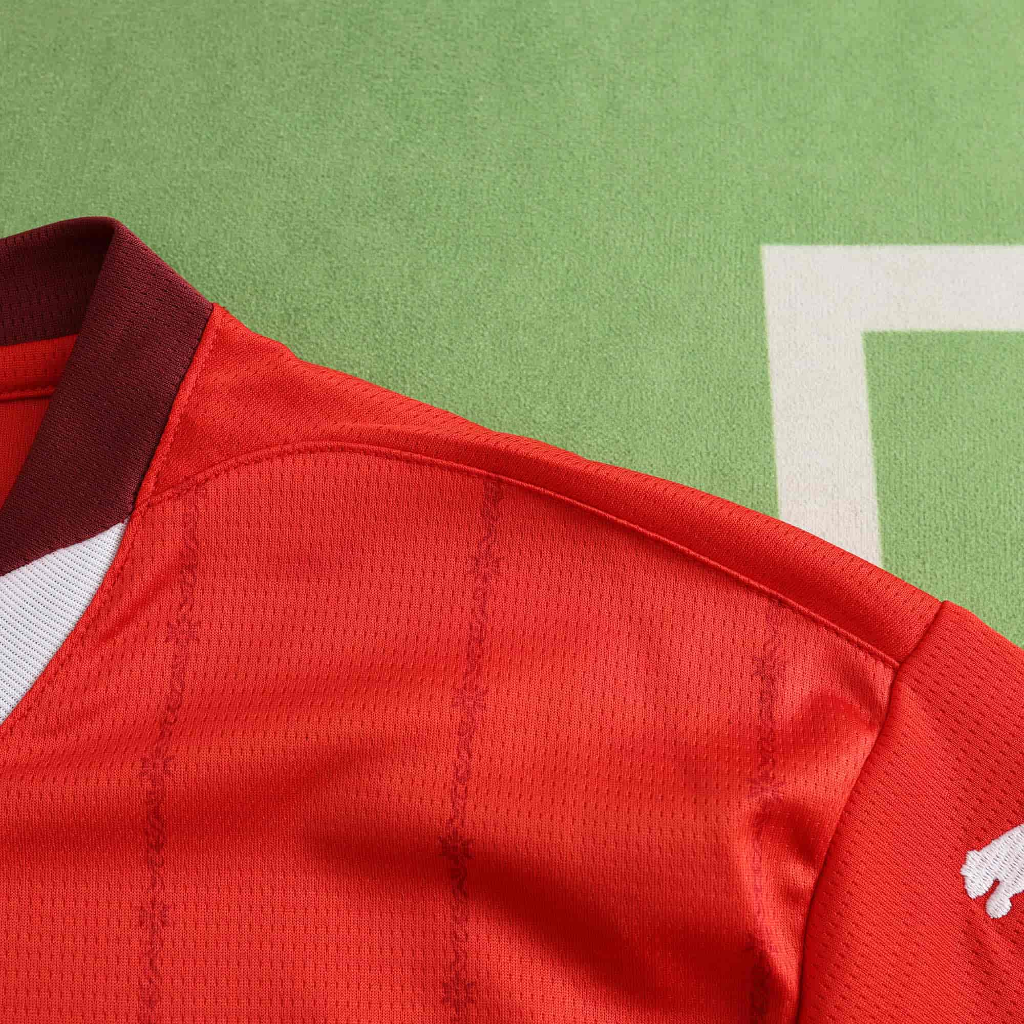 Switzerland 24-25 Home