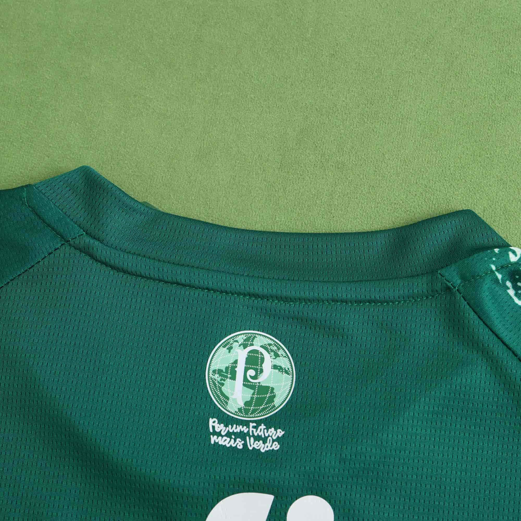 Palmeiras 24-25 Concept