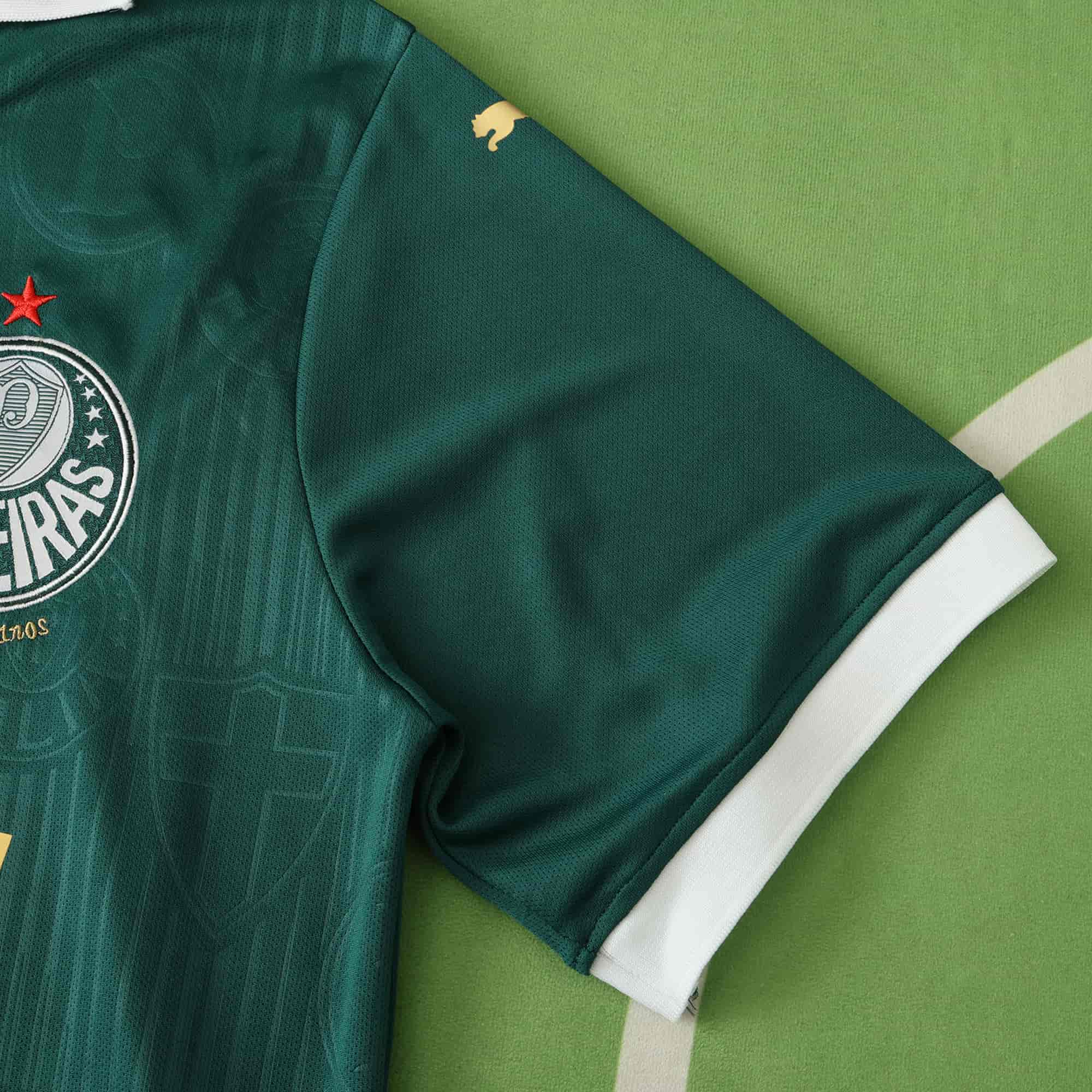 Palmeiras 24-25 Home