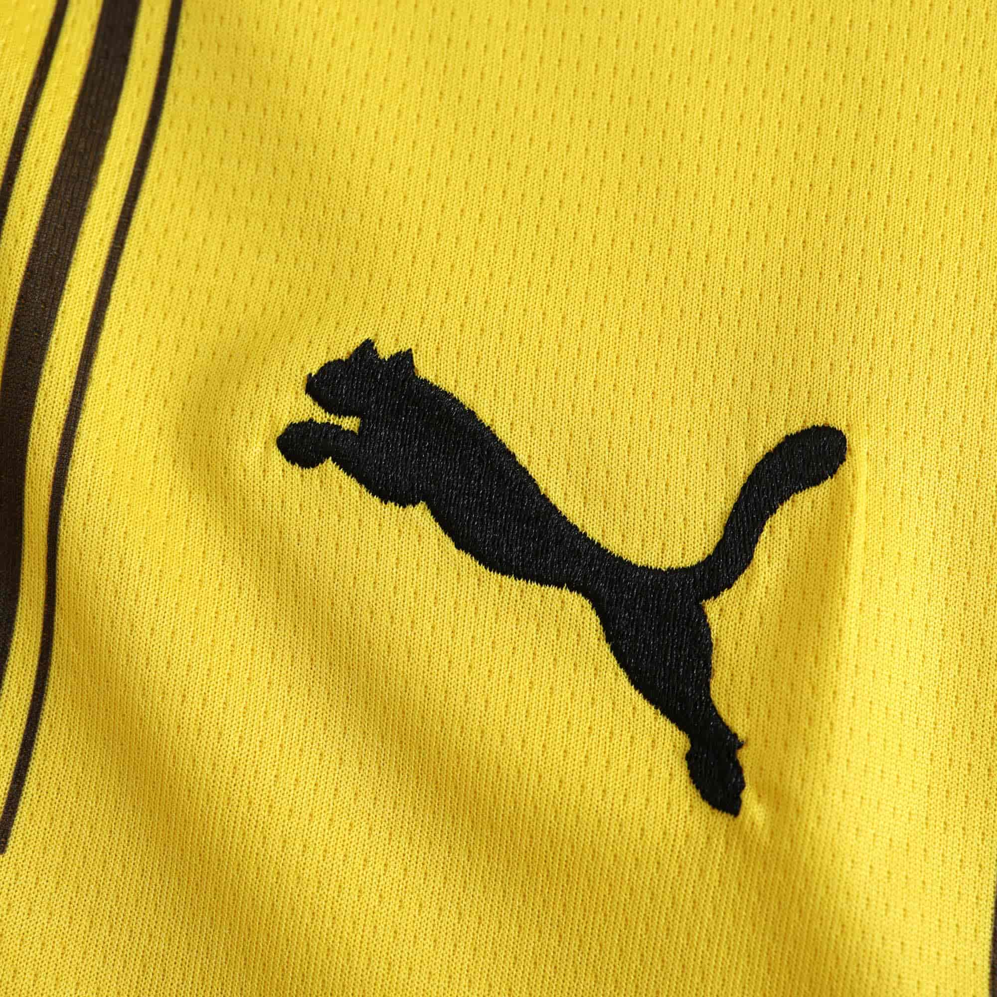 Borussia Dortmund 24-25 Home