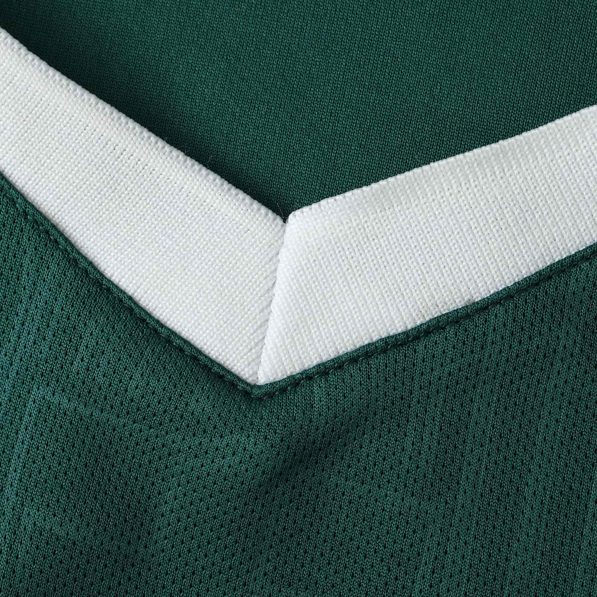 Palmeiras 24-25 Home