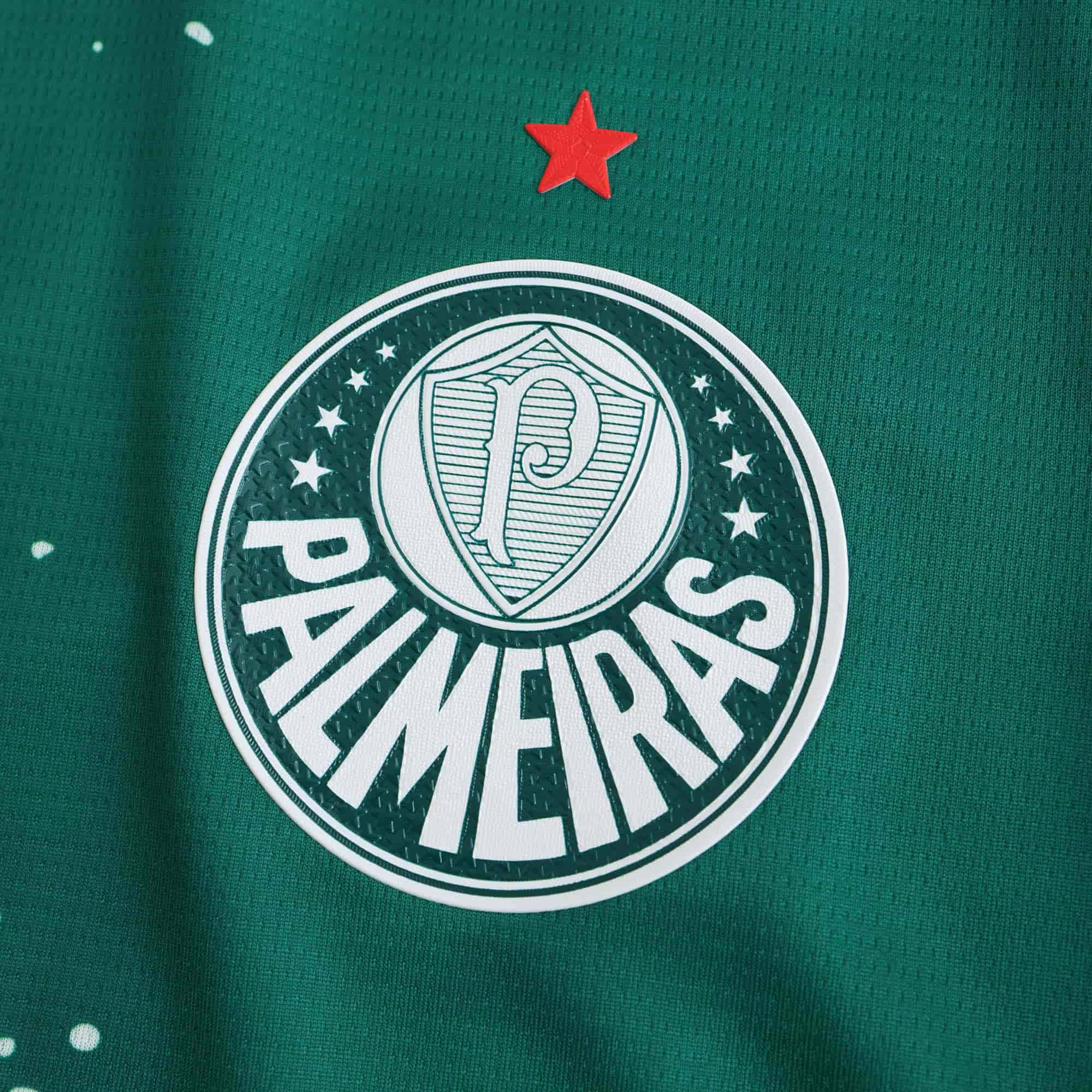 Palmeiras 24-25 Concept