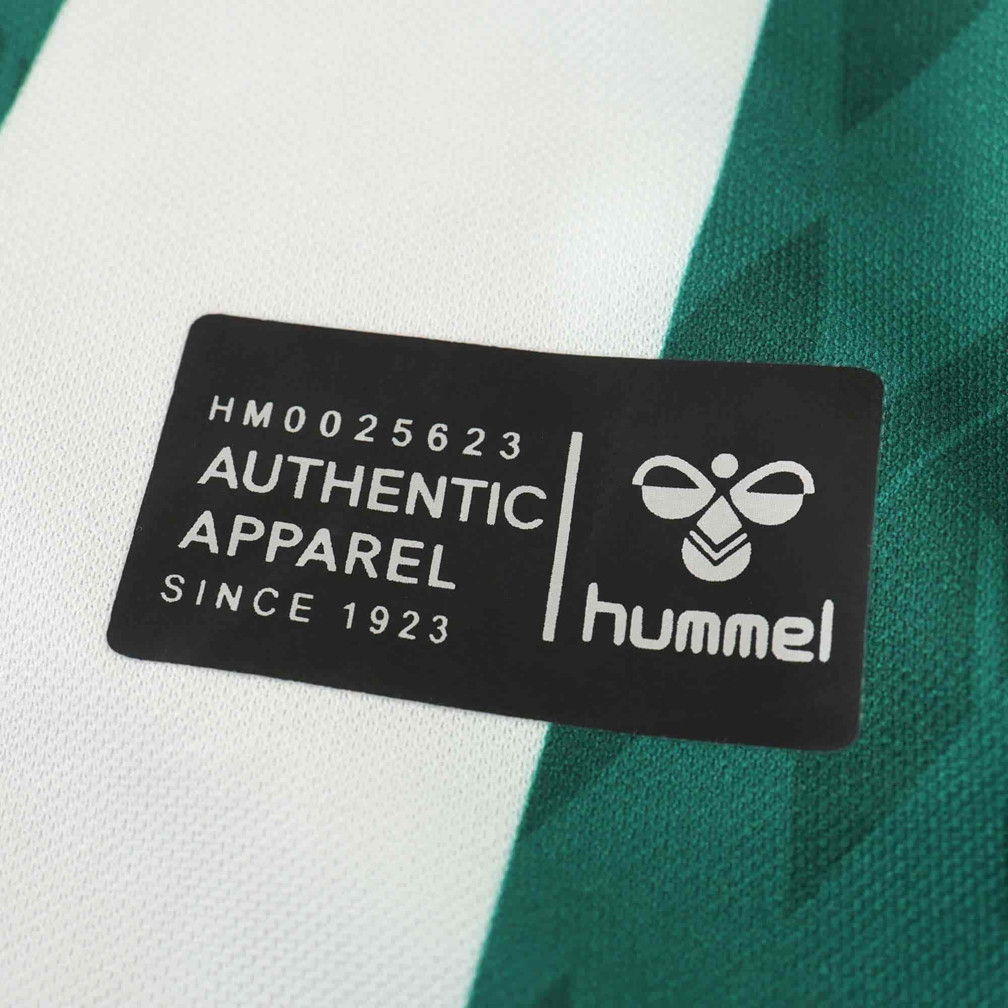 Werder Bremen 24-25 Home