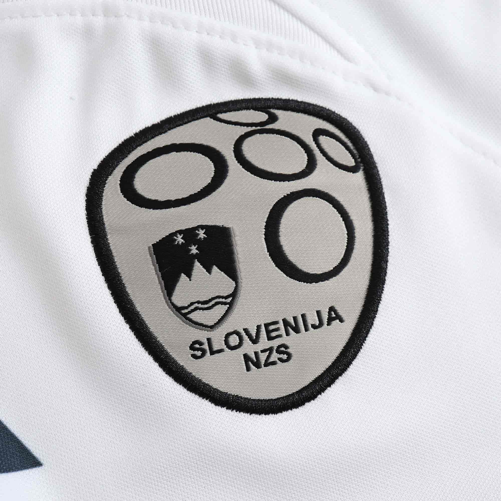 Slovenia 24-25 Away