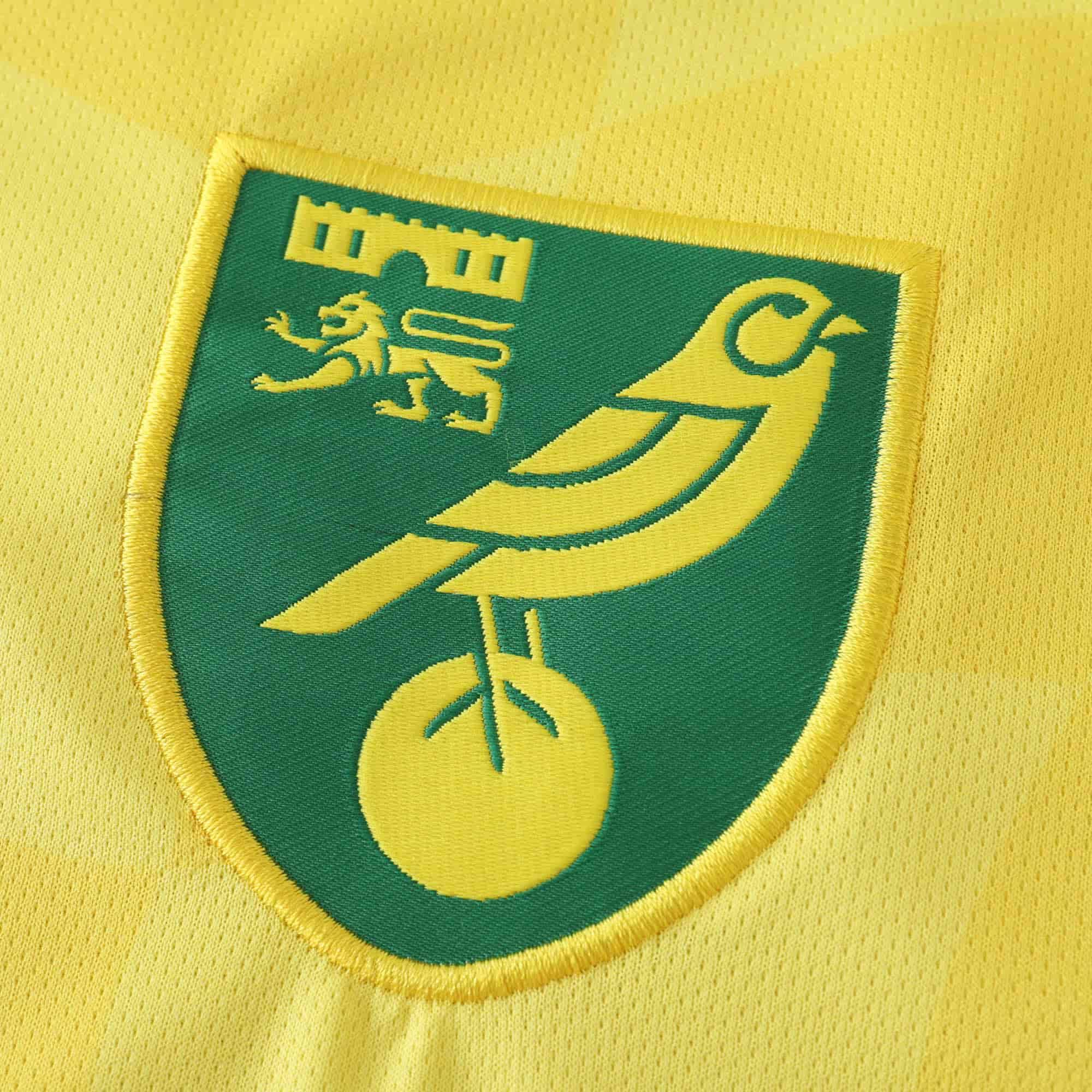 Norwich City 24-25 Home