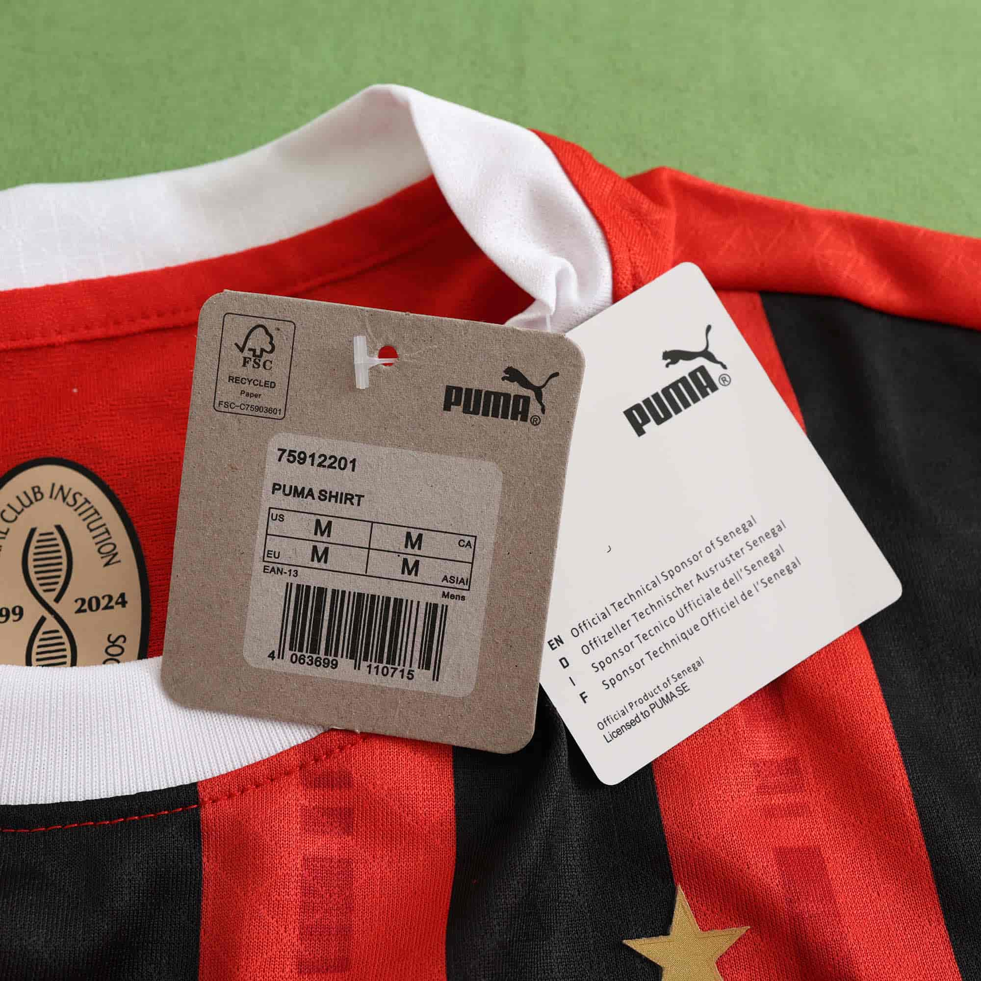 AC Milan 24-25 Home