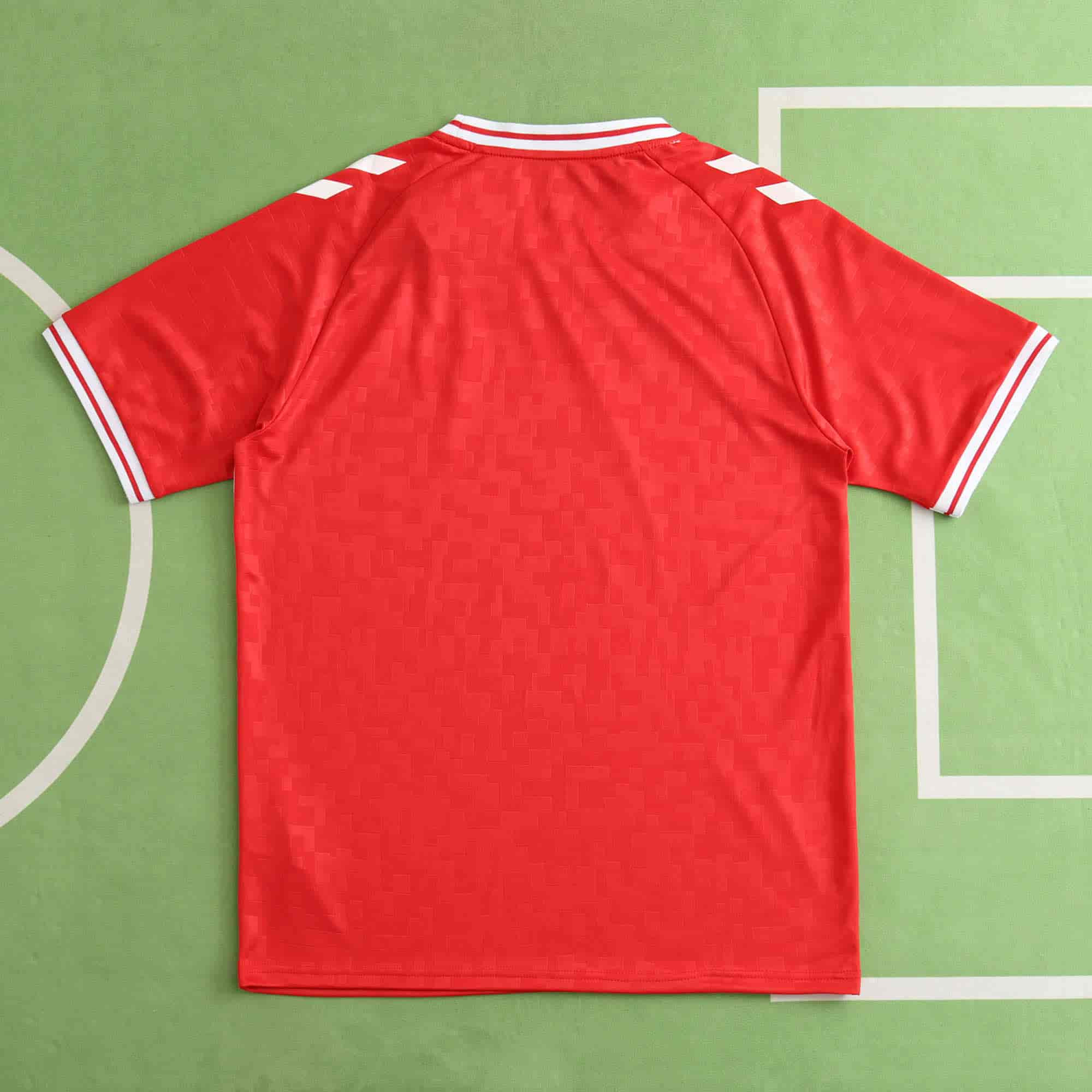 Denmark 24-25 Home