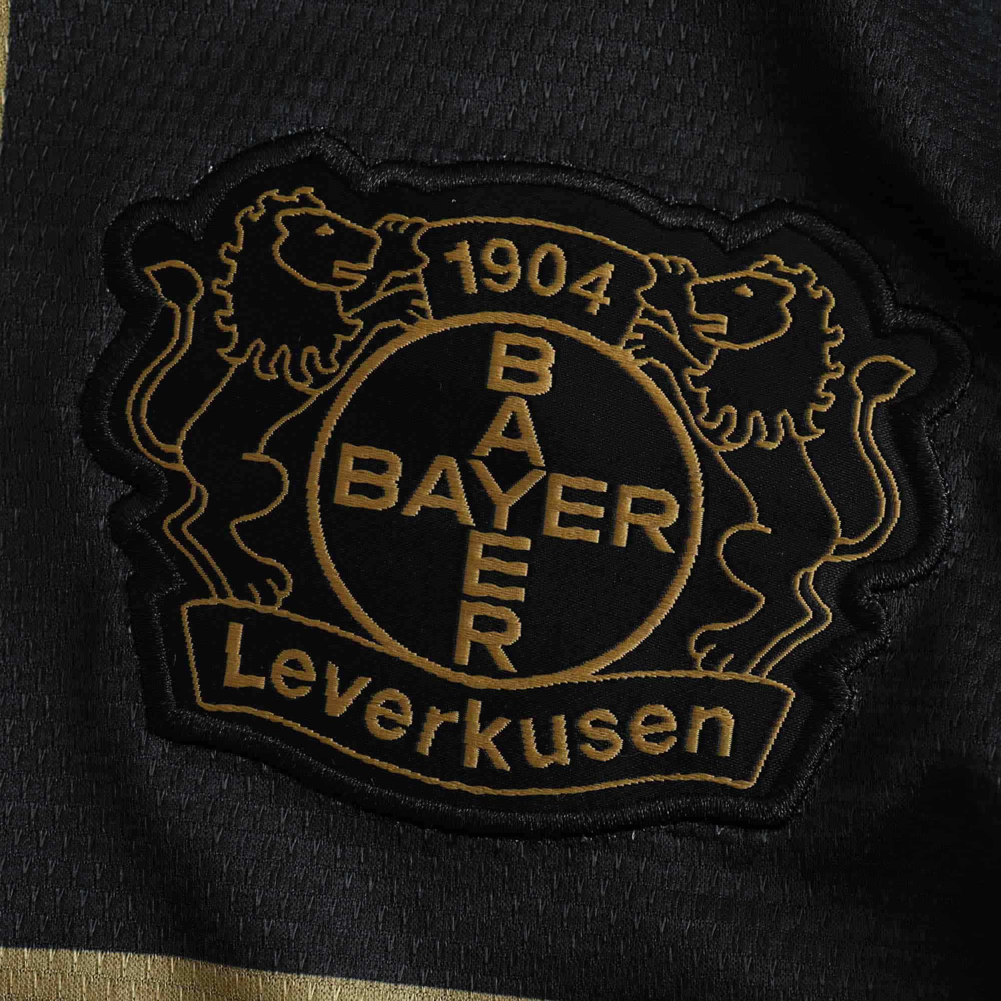 Bayer Leverkusen 24-25 Concept