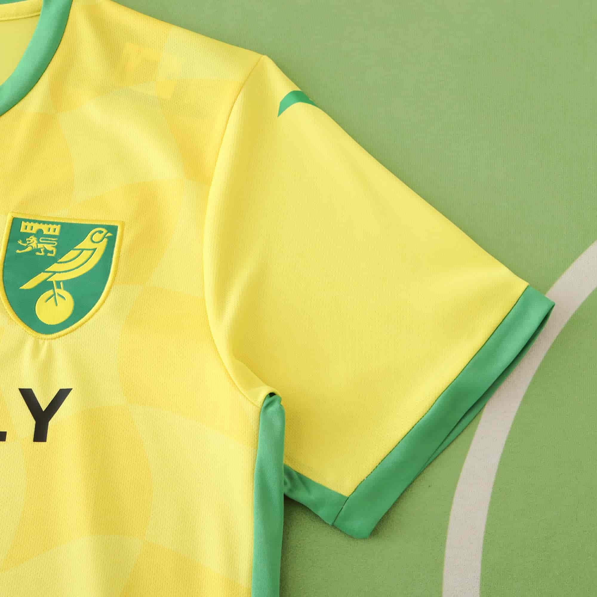 Norwich City 24-25 Home