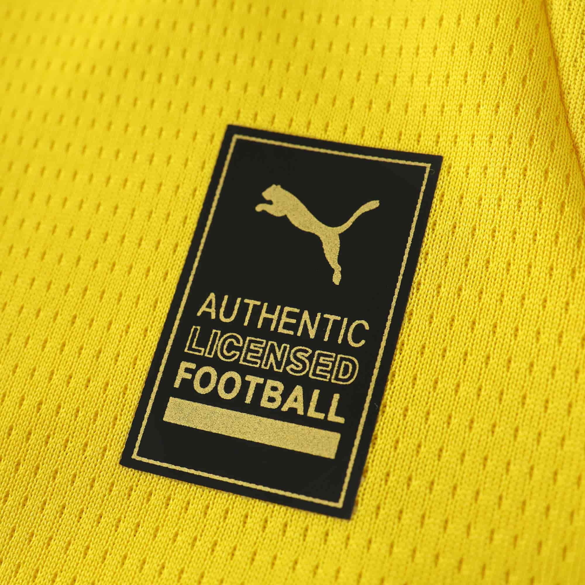 Borussia Dortmund 24-25 Home UCL