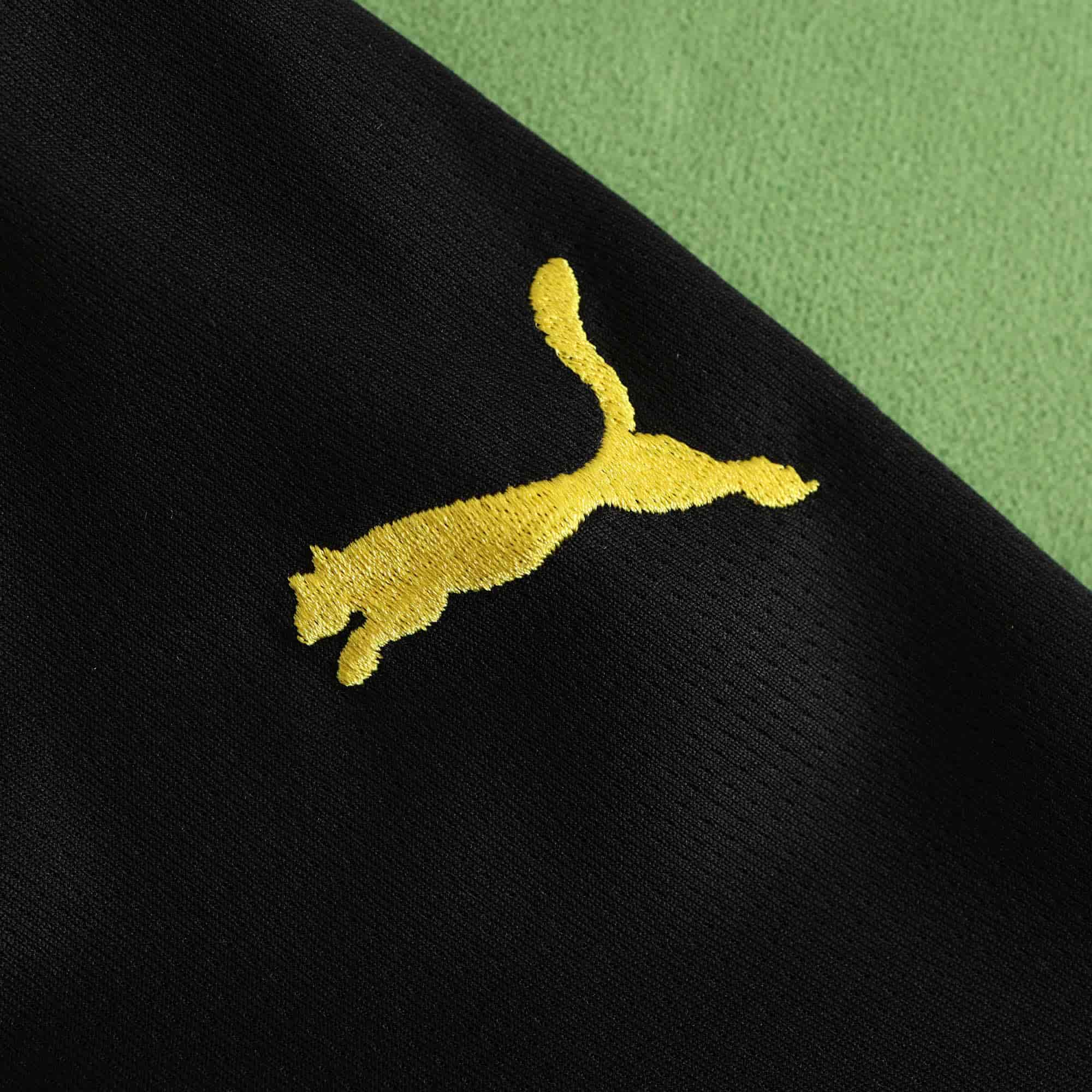 Borussia Dortmund 24-25 Home