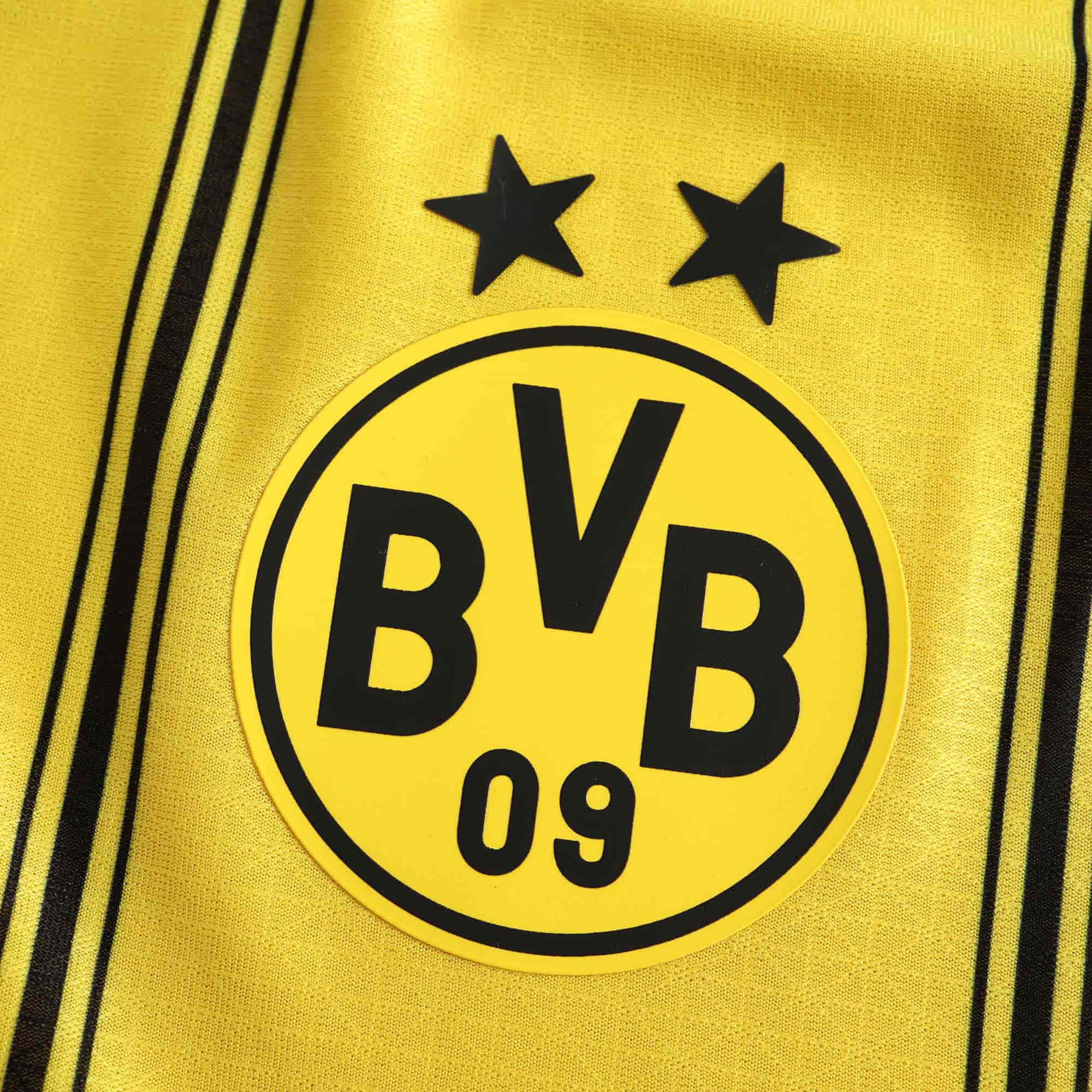 Borussia Dortmund 24-25 Home