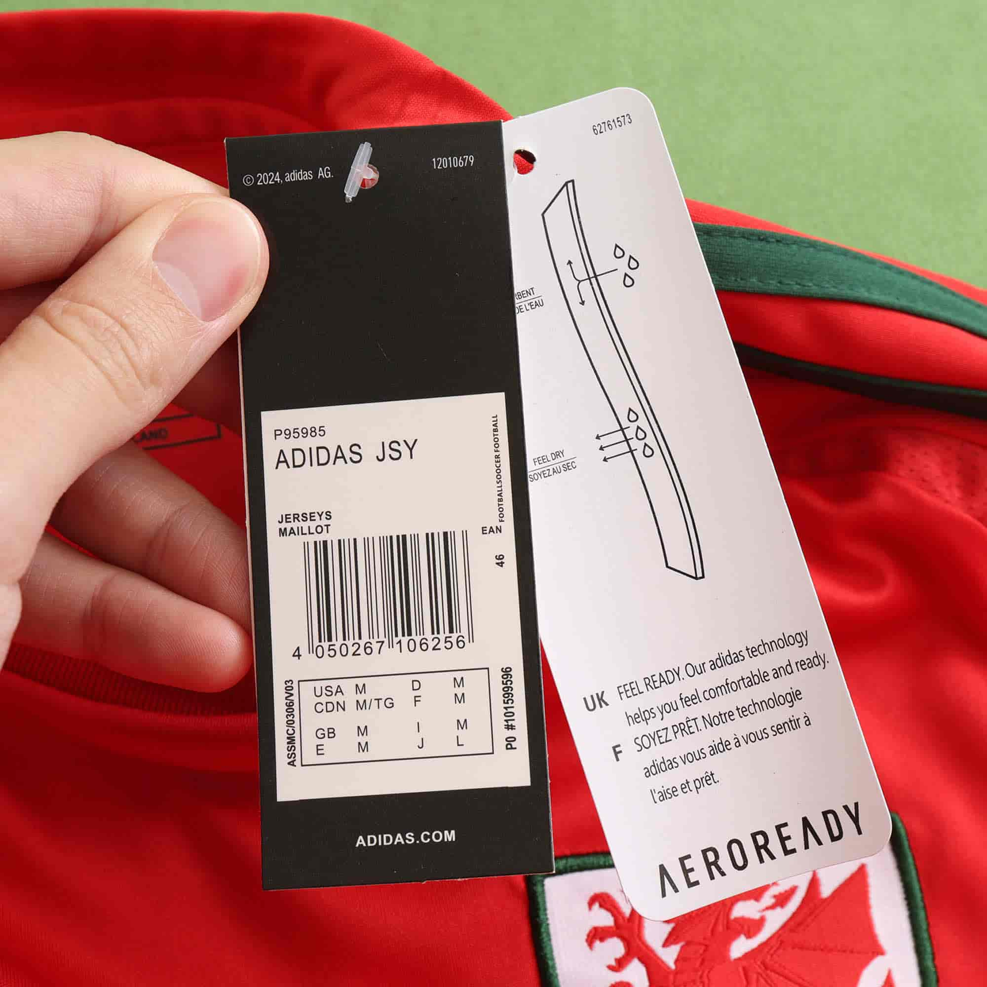 Wales 24-25 Home