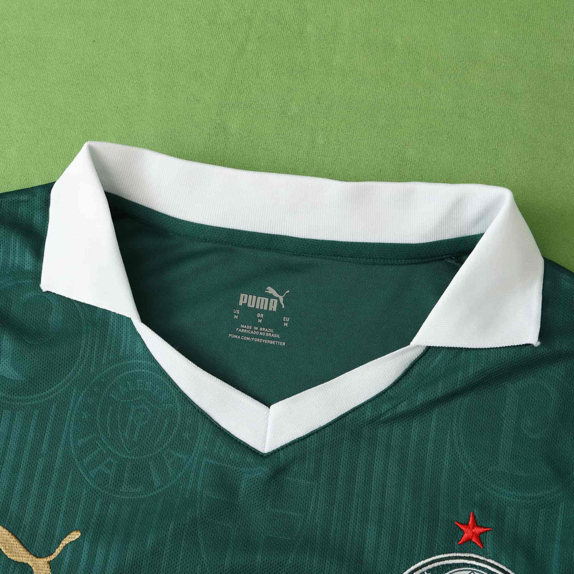 Palmeiras 24-25 Home