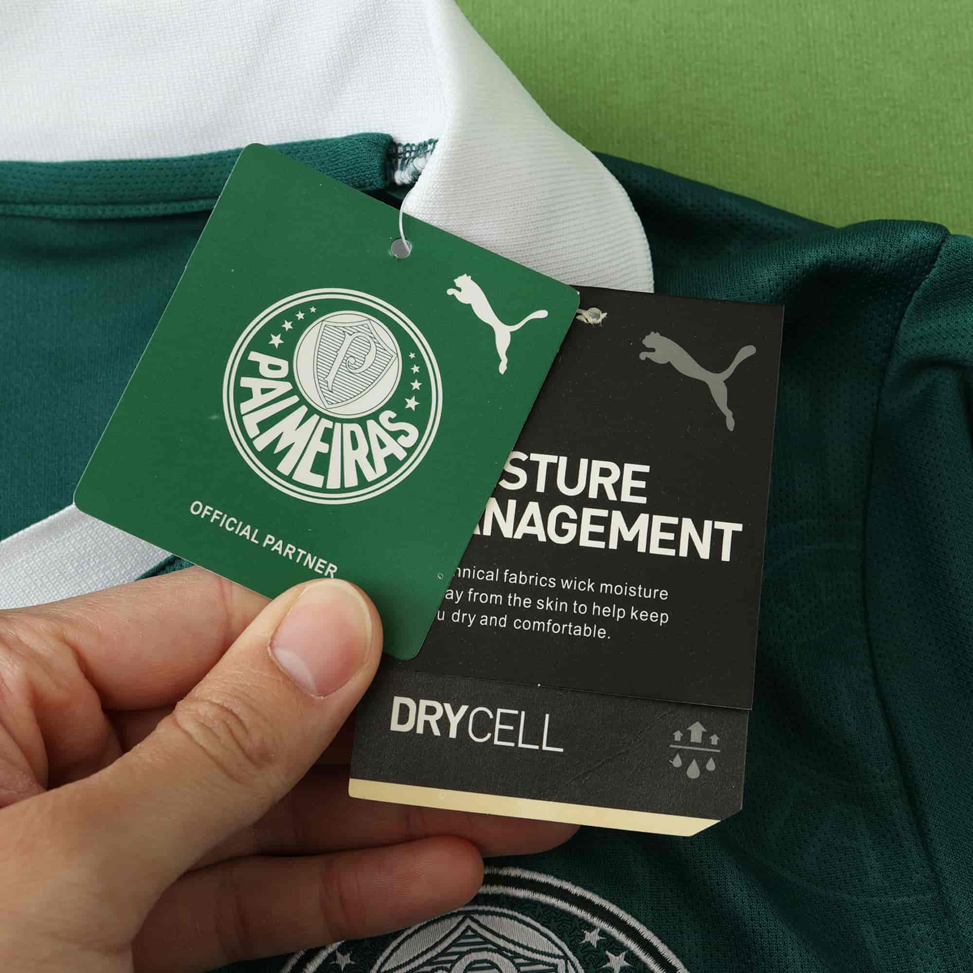 Palmeiras 24-25 Home