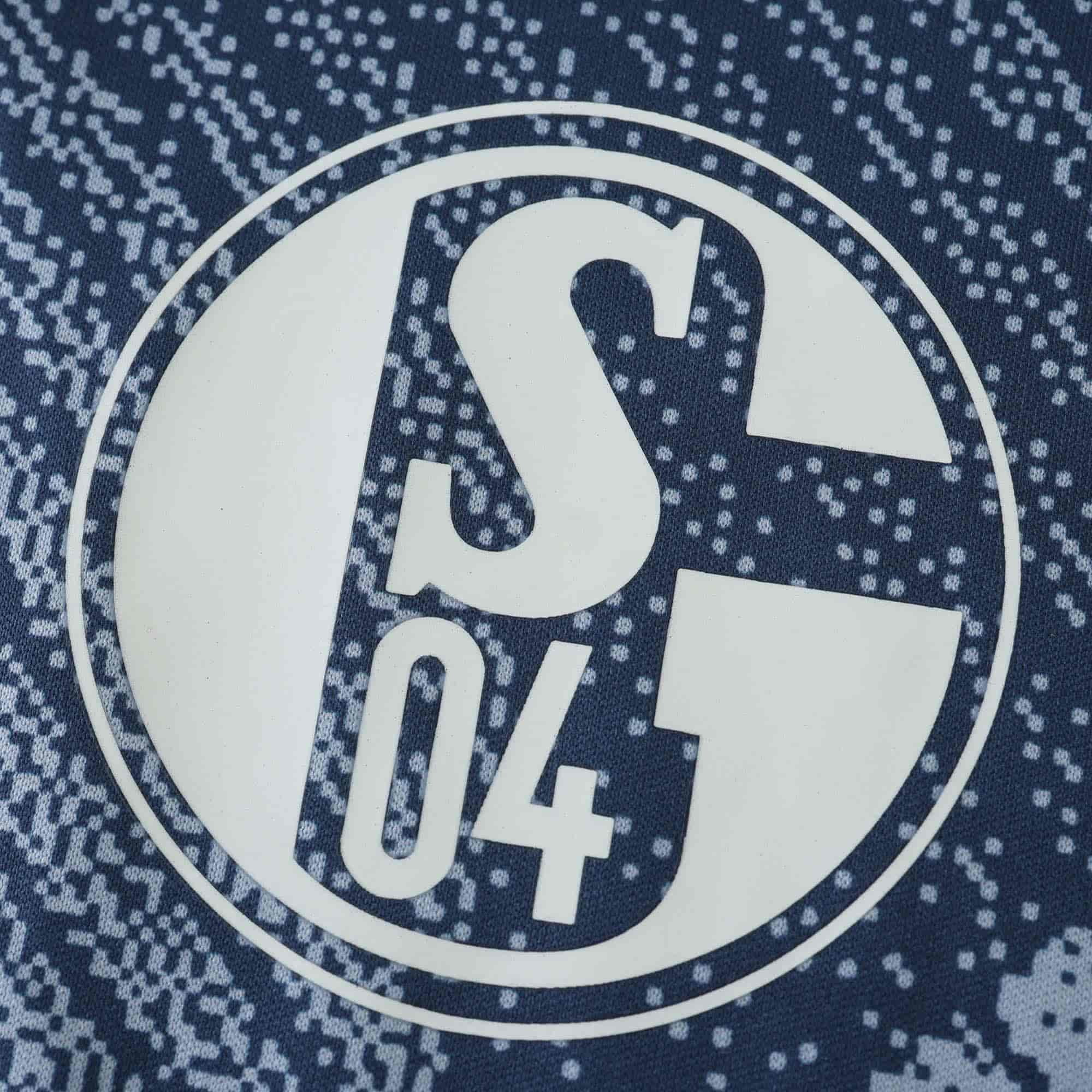 Schalke 04 24-25 Third