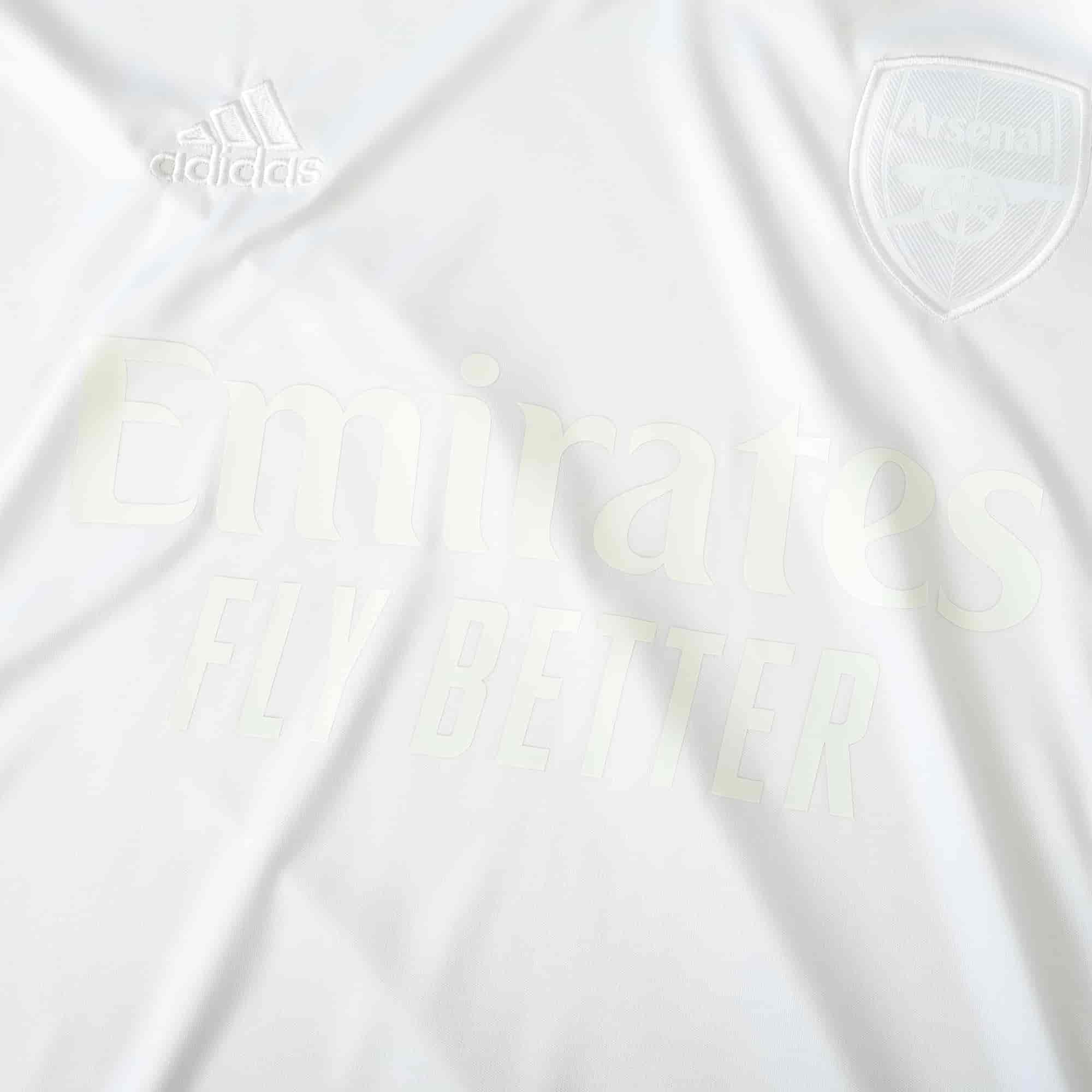 Arsenal 24-25 Concept