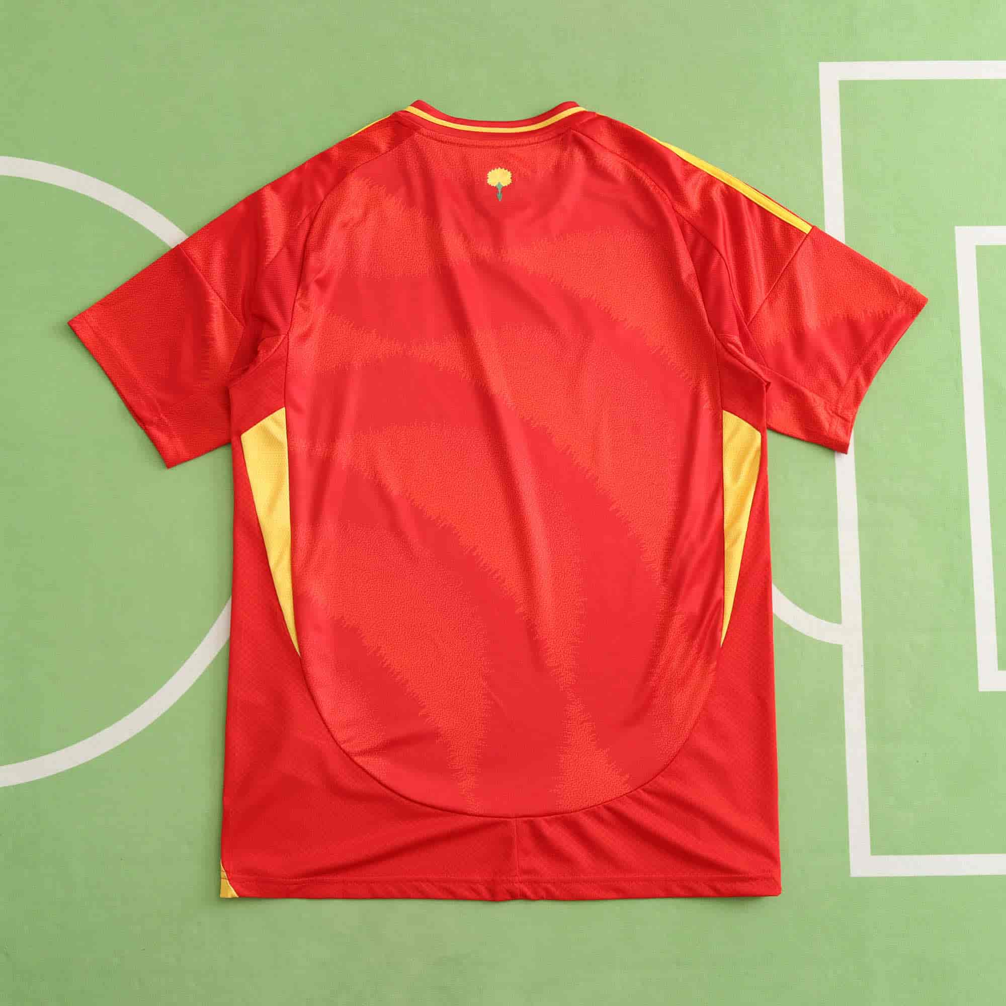 Spain 24-25 Home