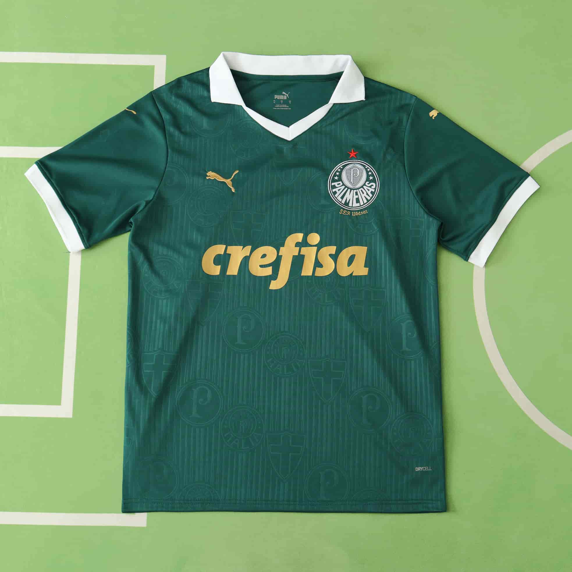 Palmeiras 24-25 Home