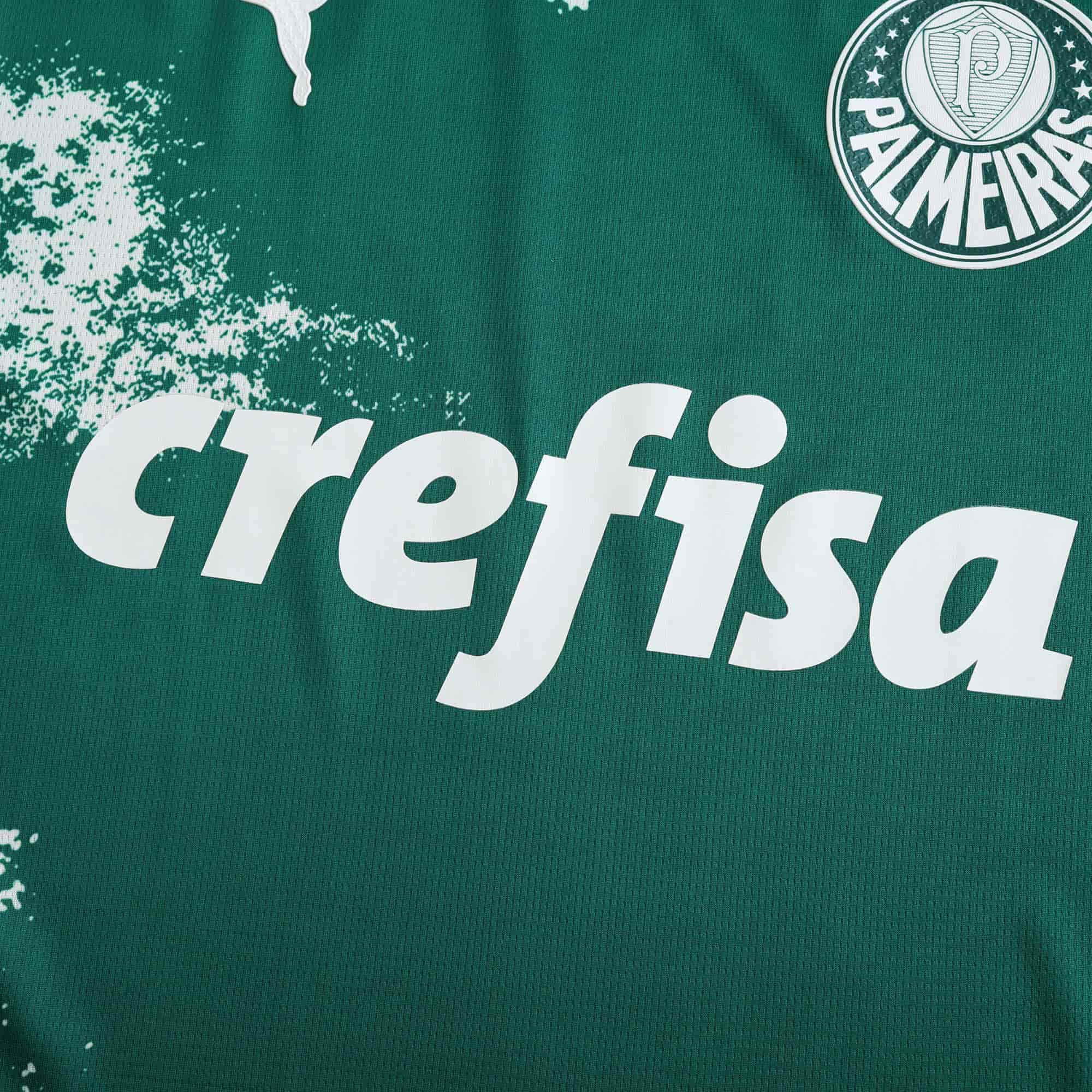 Palmeiras 24-25 Concept