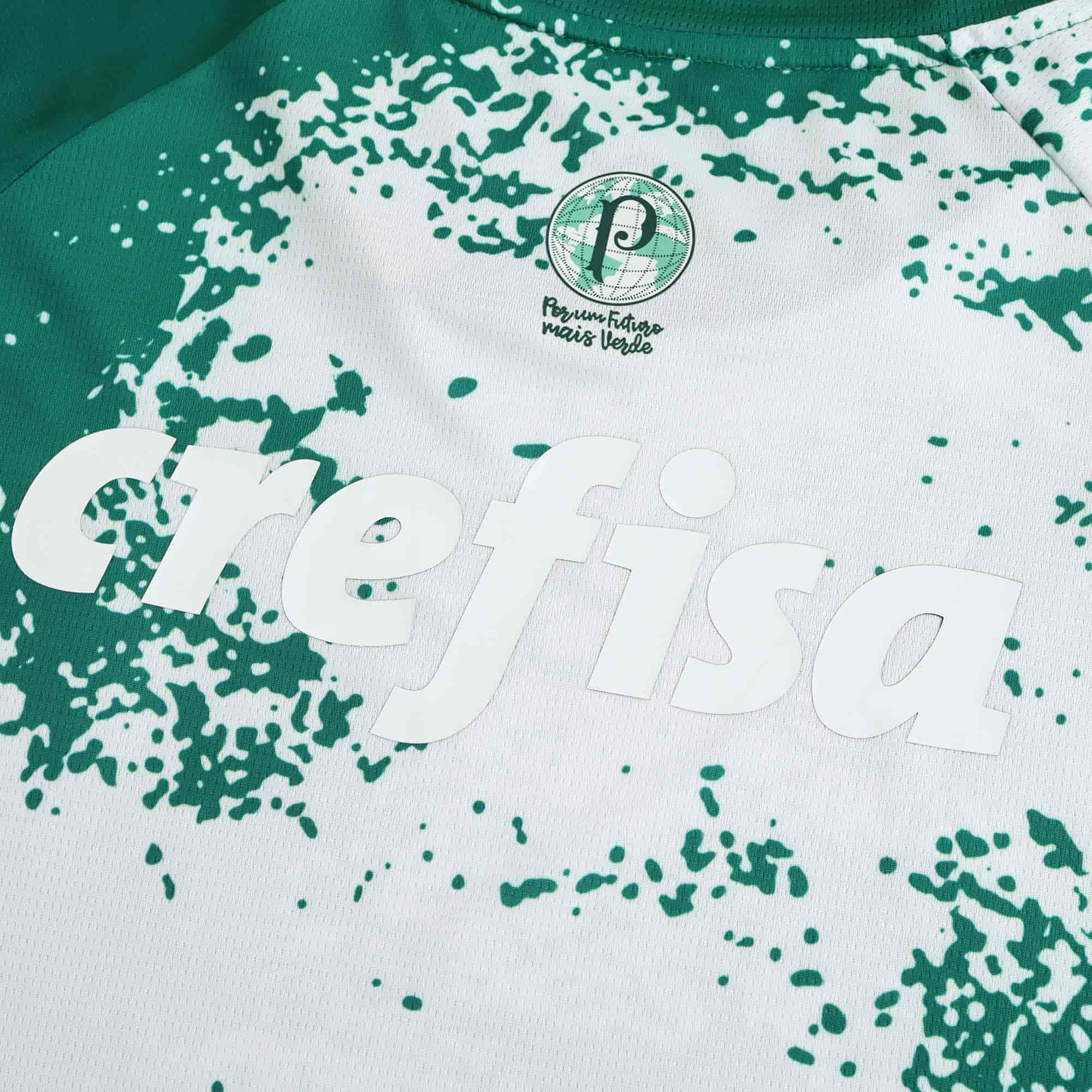 Palmeiras 24-25 Concept