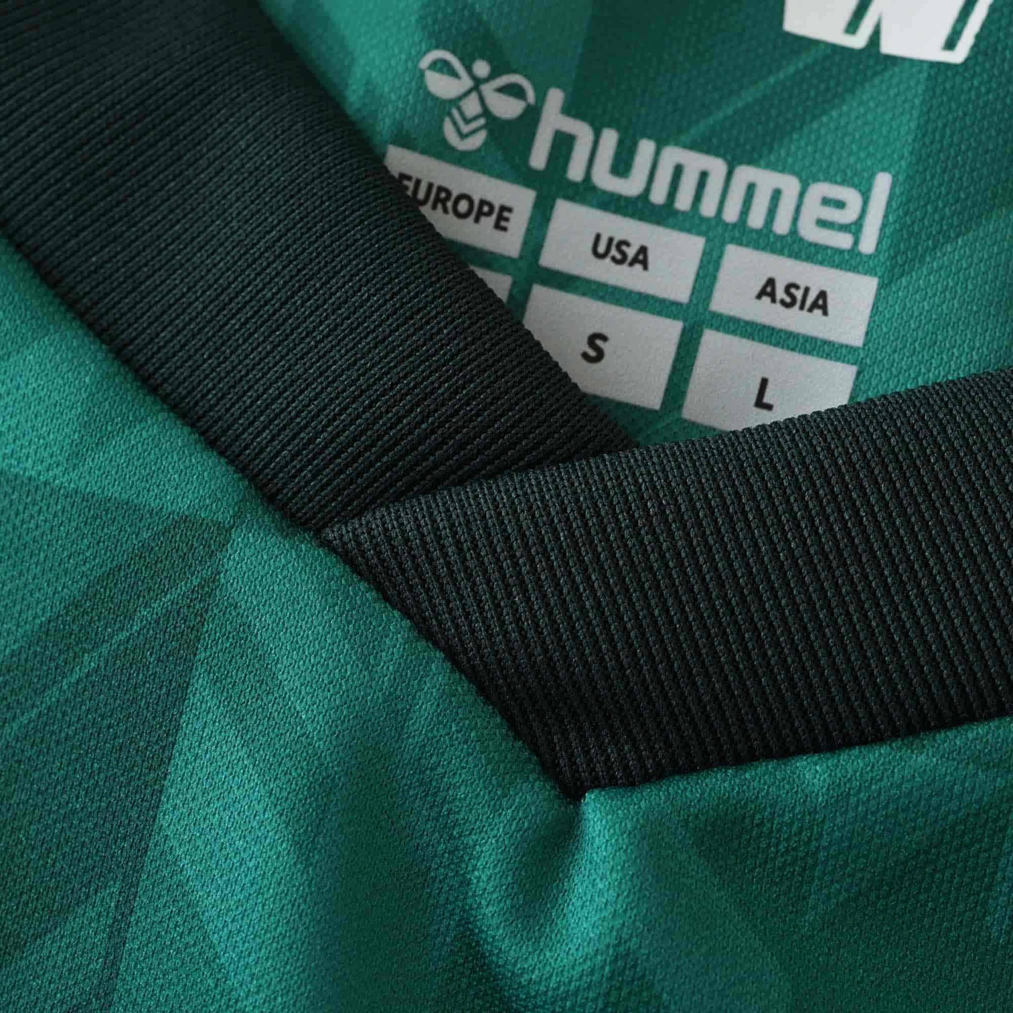 Werder Bremen 24-25 Home