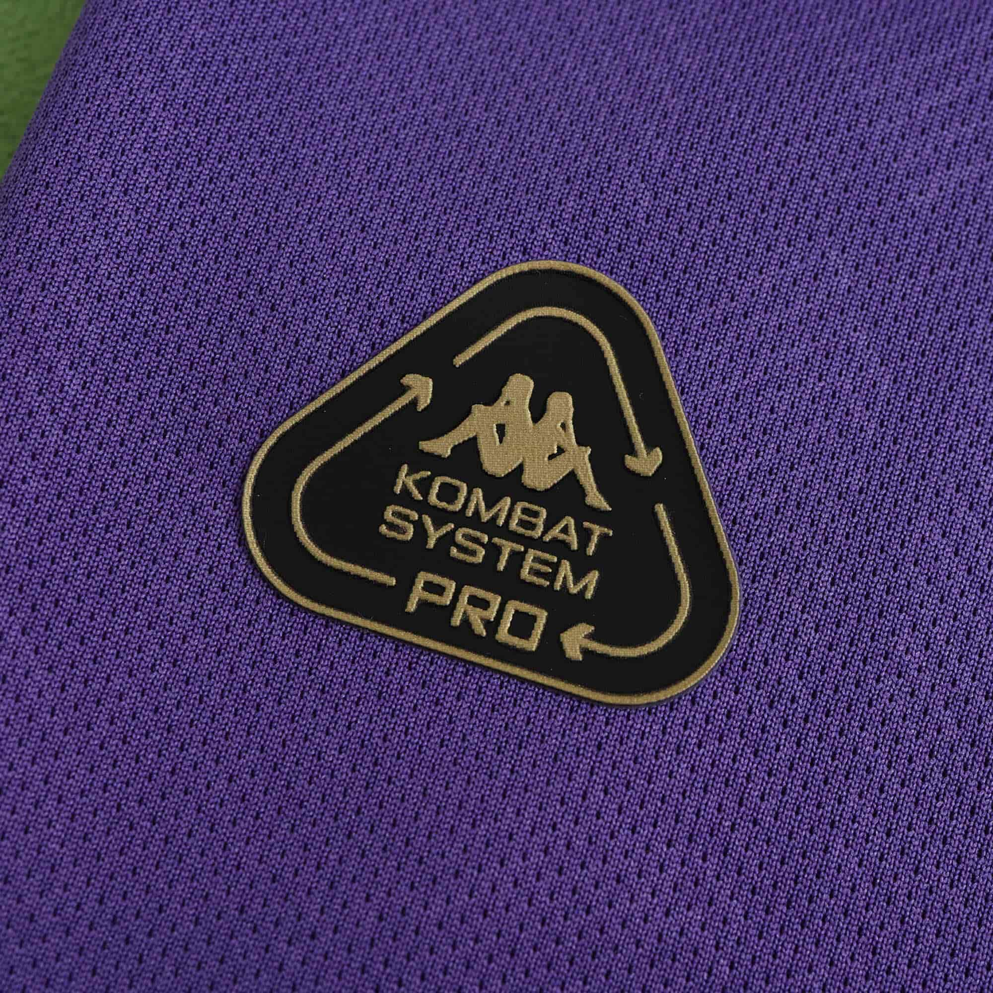 Fiorentina 24-25 Home