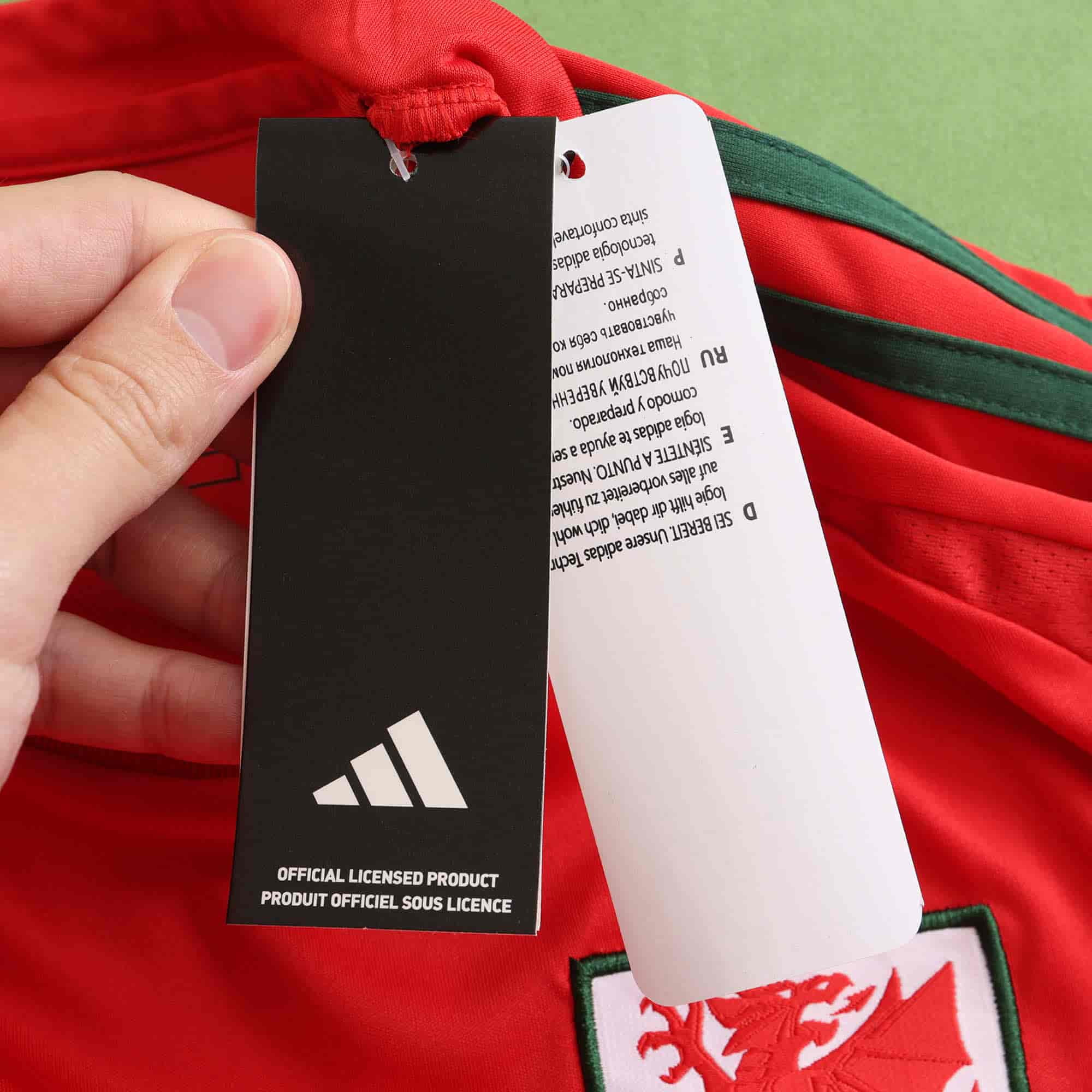 Wales 24-25 Home