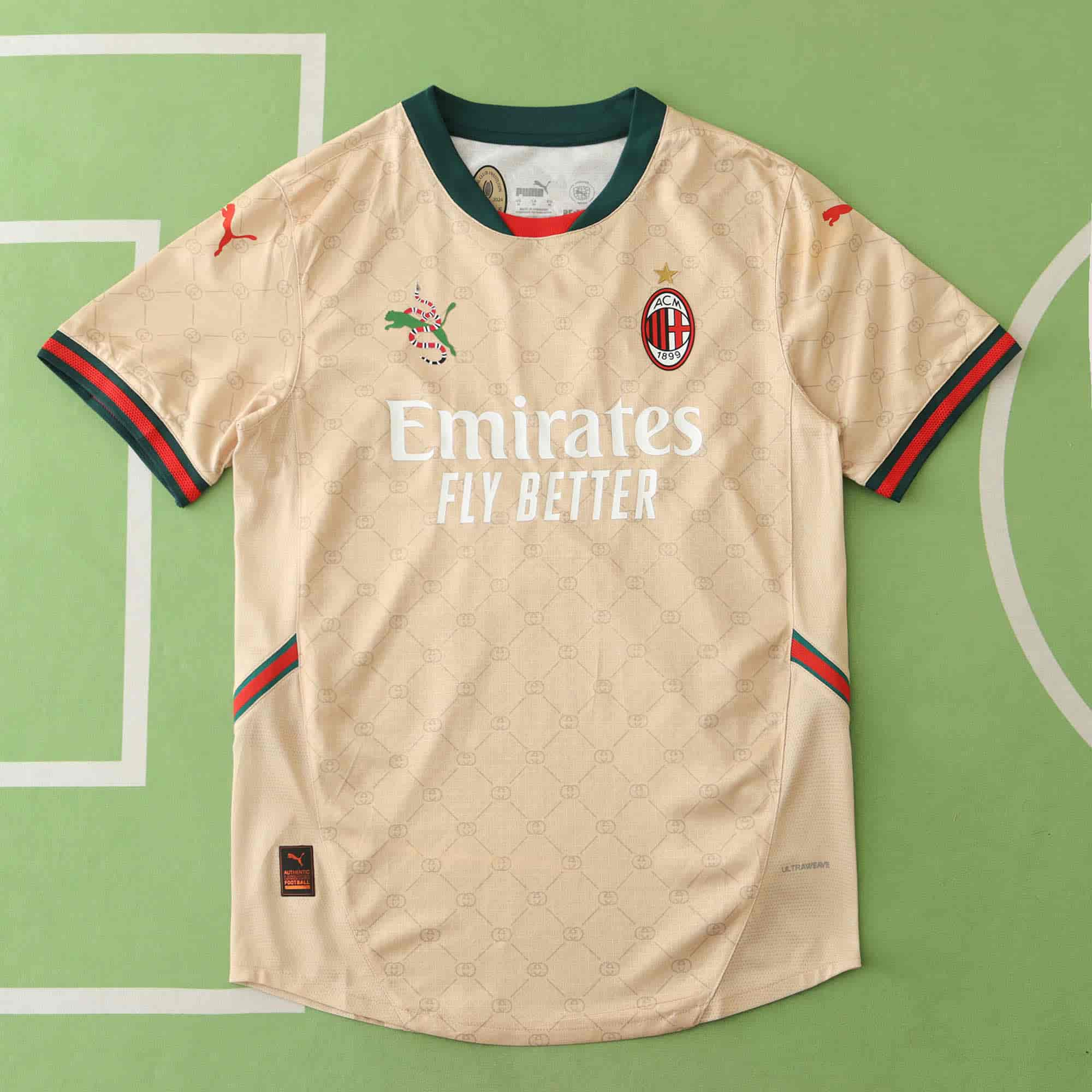 AC Milan 24-25 Concept