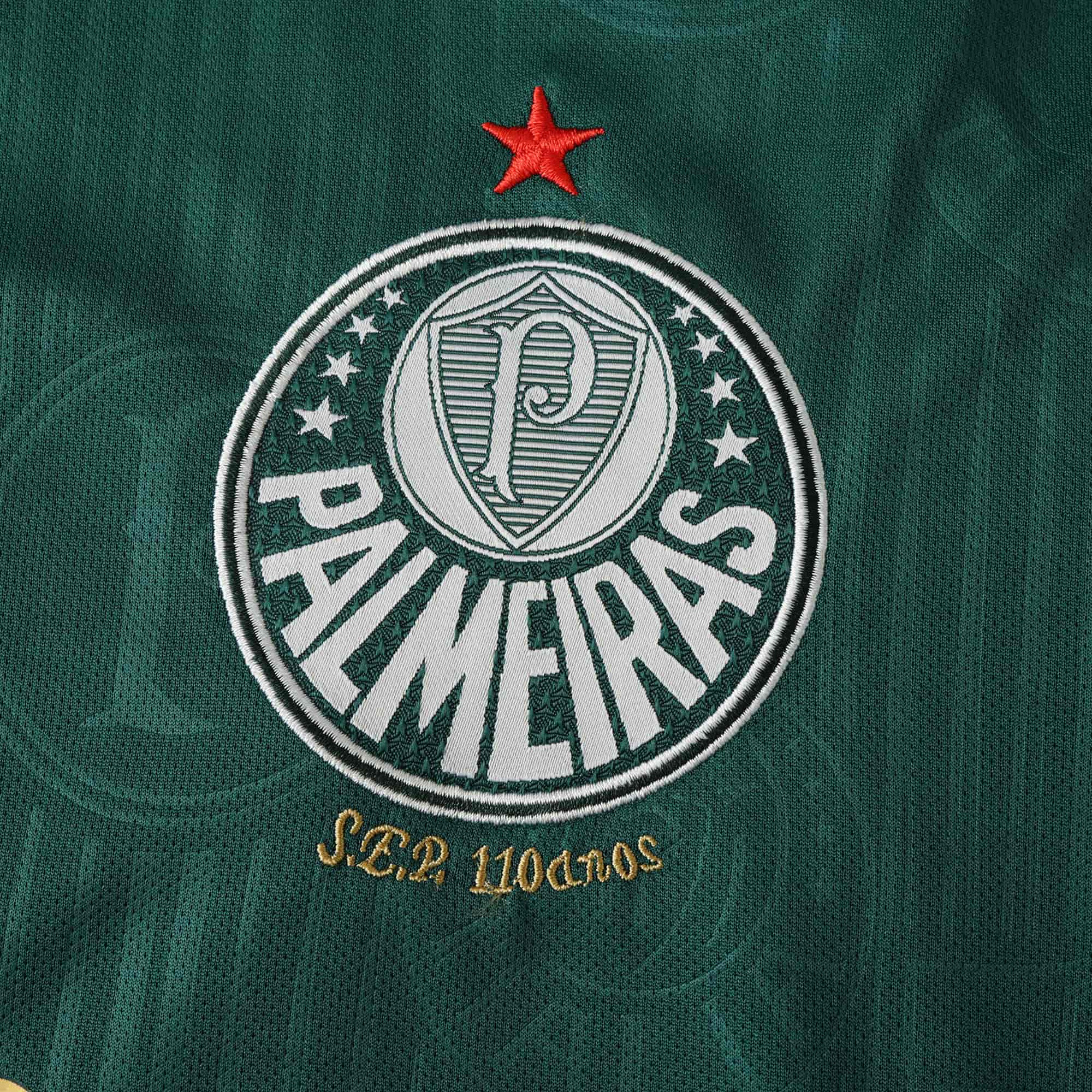 Palmeiras 24-25 Home