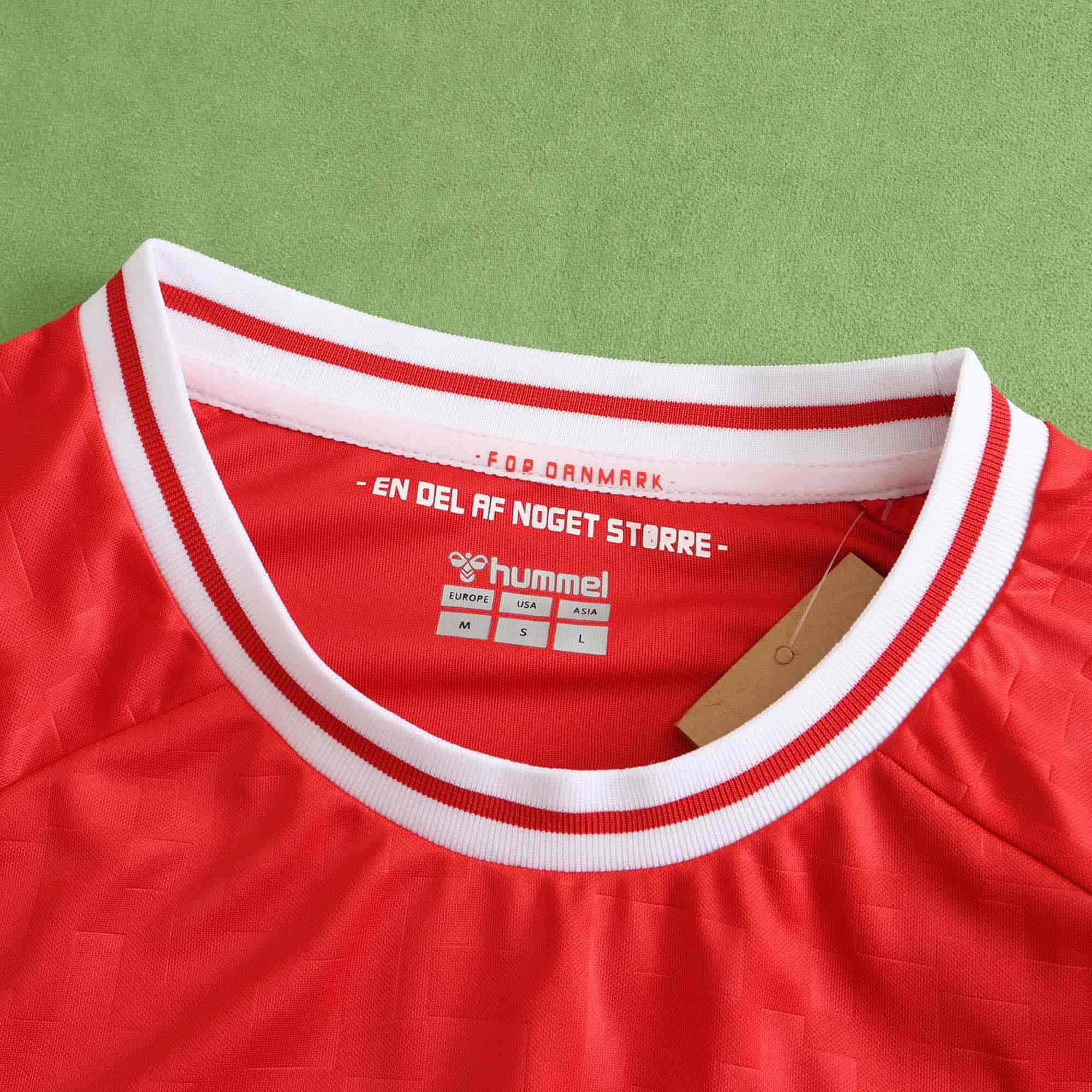 Denmark 24-25 Home