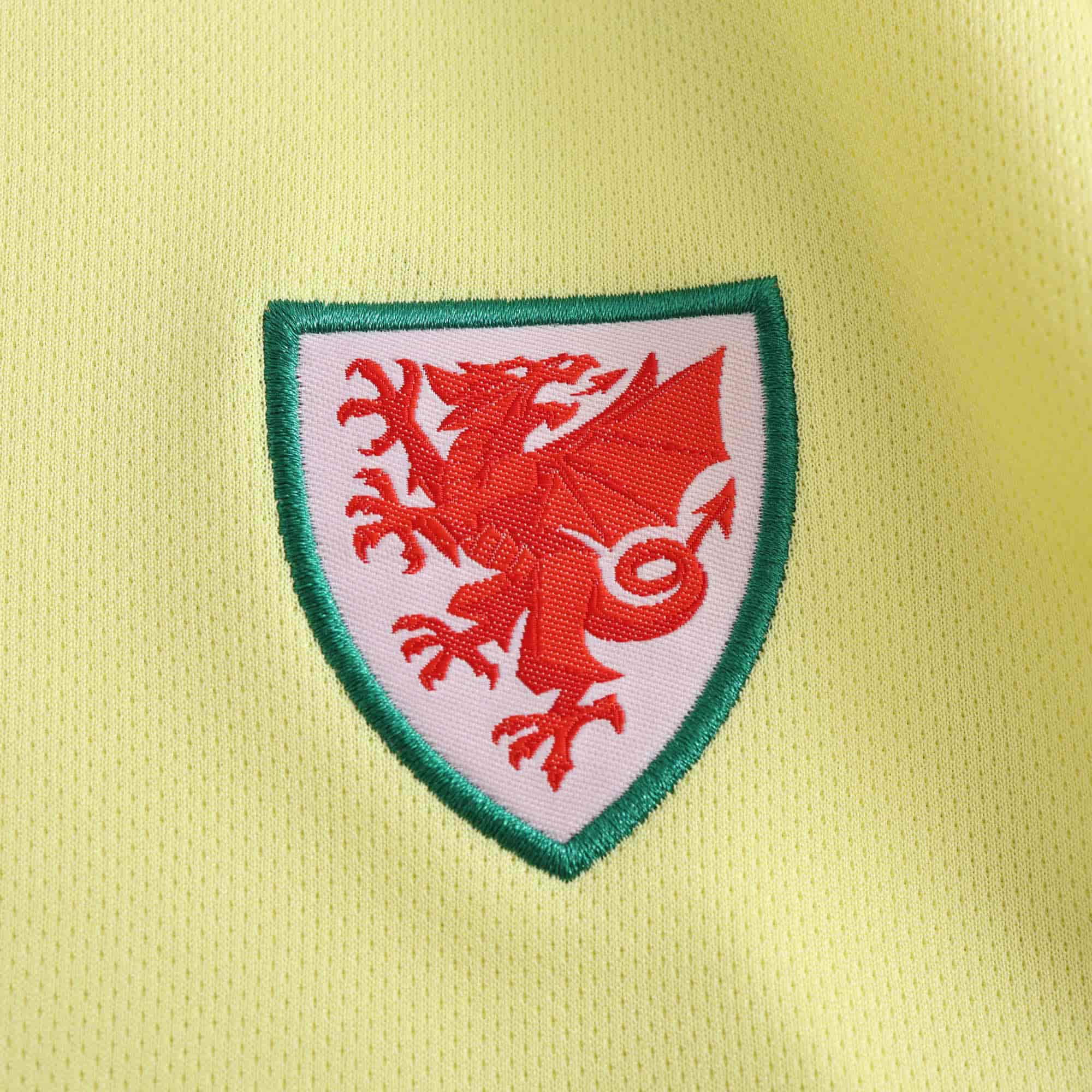 Wales 24-25 Away Kids