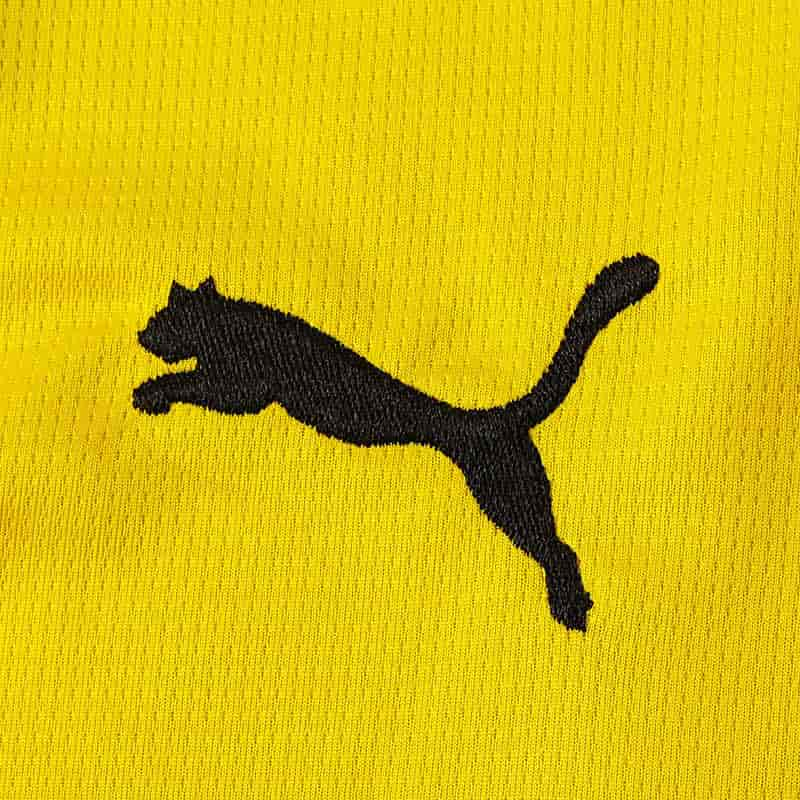 Borussia Dortmund 23-24 Home