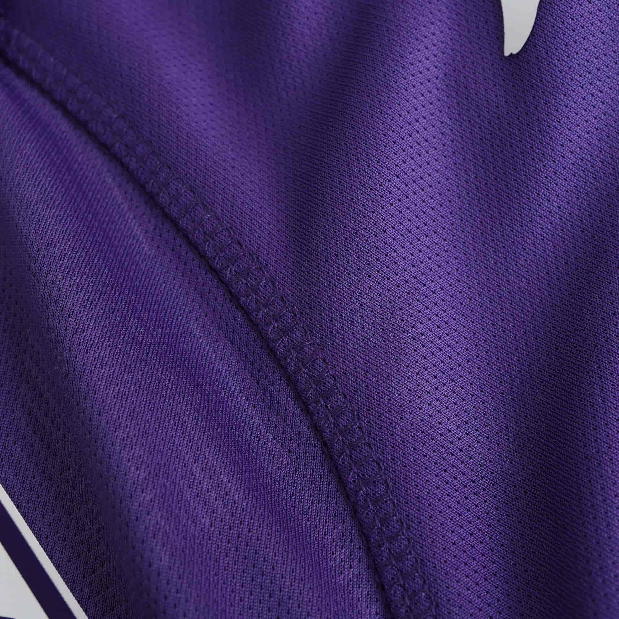 Fiorentina 24-25 Home