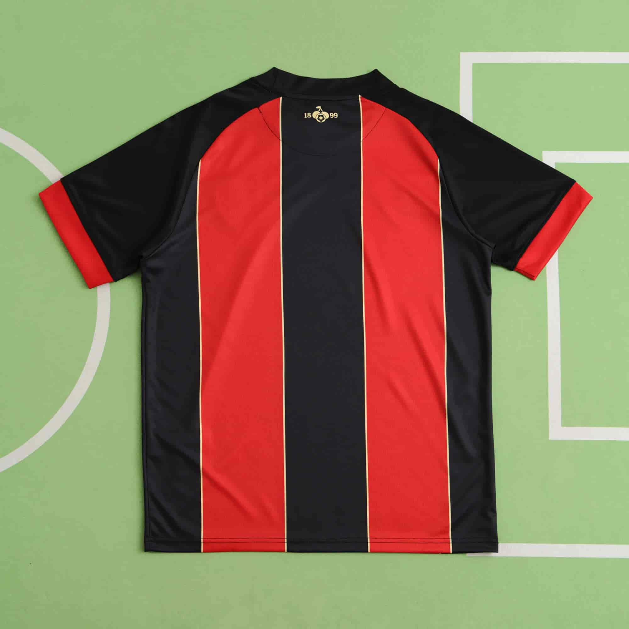 Bournemouth 24-25 Home