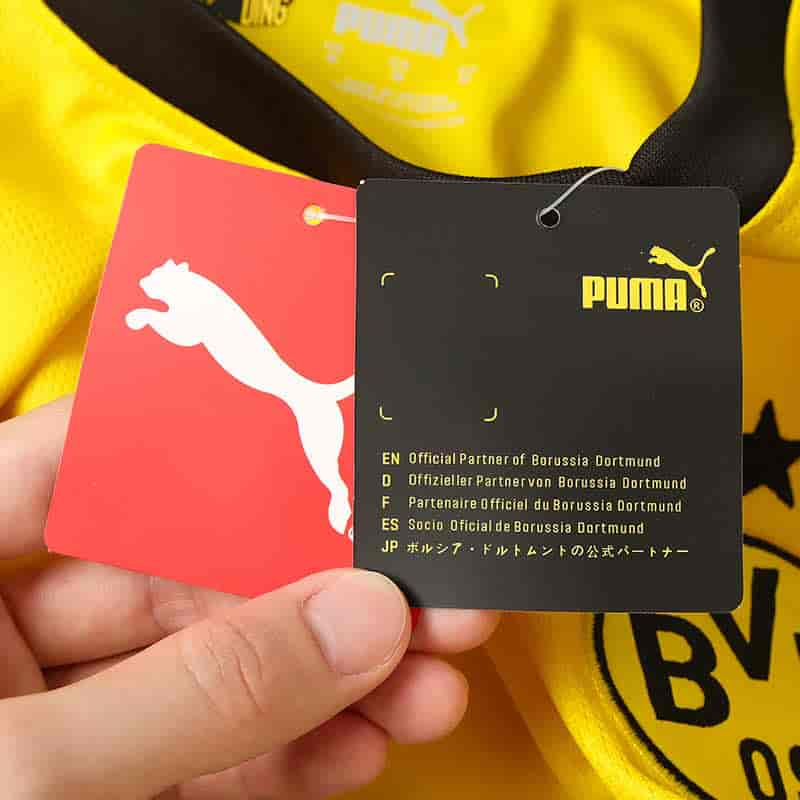 Borussia Dortmund 23-24 Home