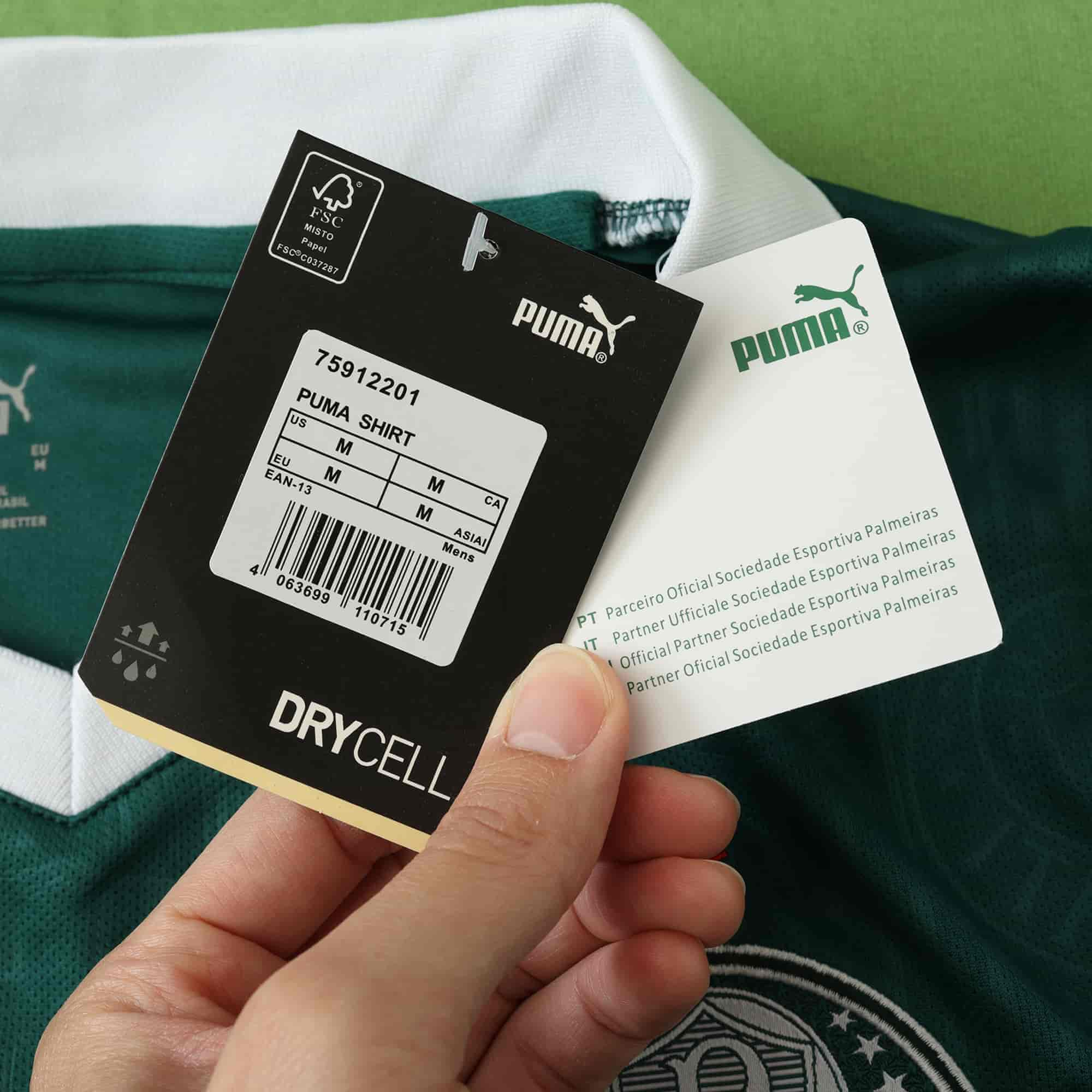 Palmeiras 24-25 Home