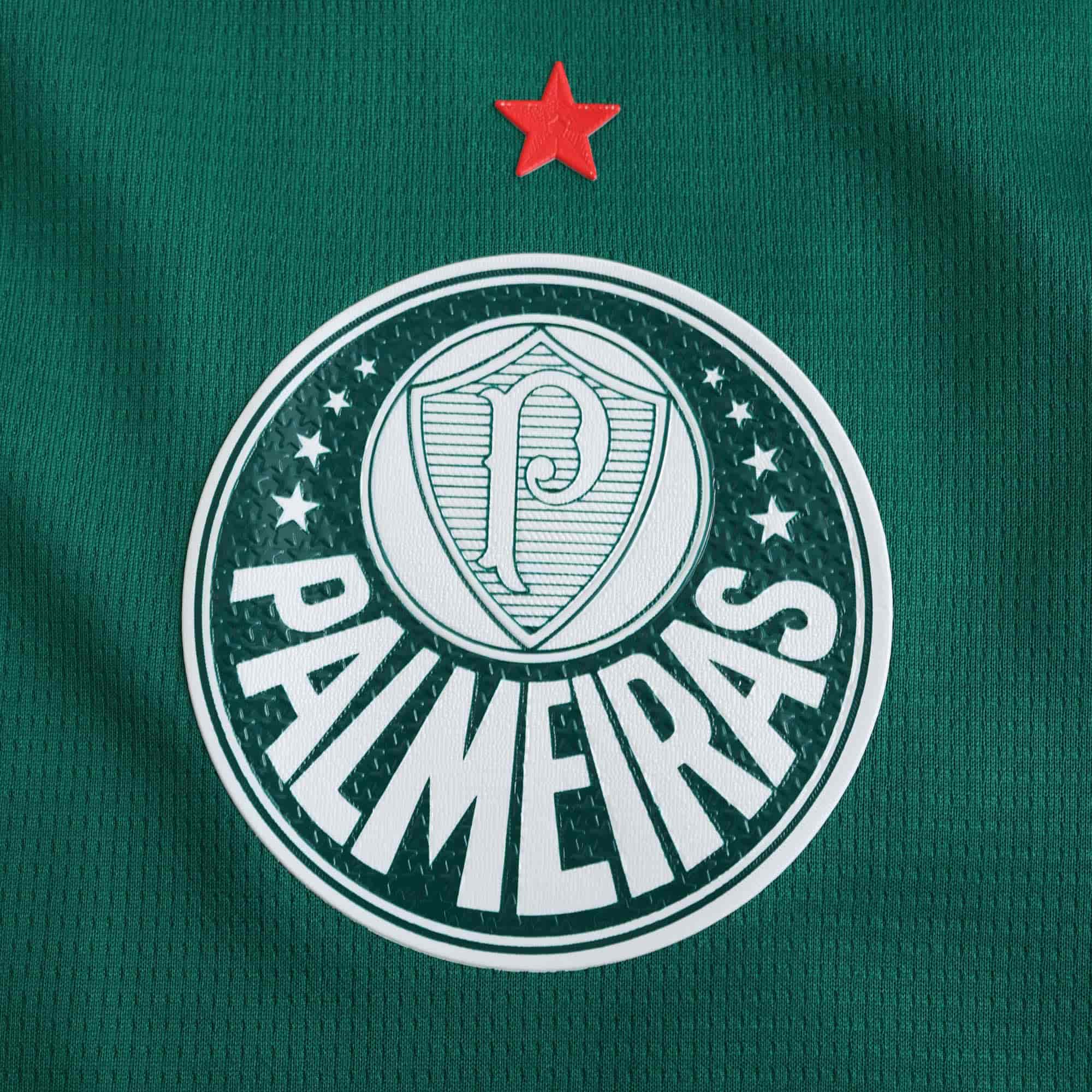 Palmeiras 24-25 Concept