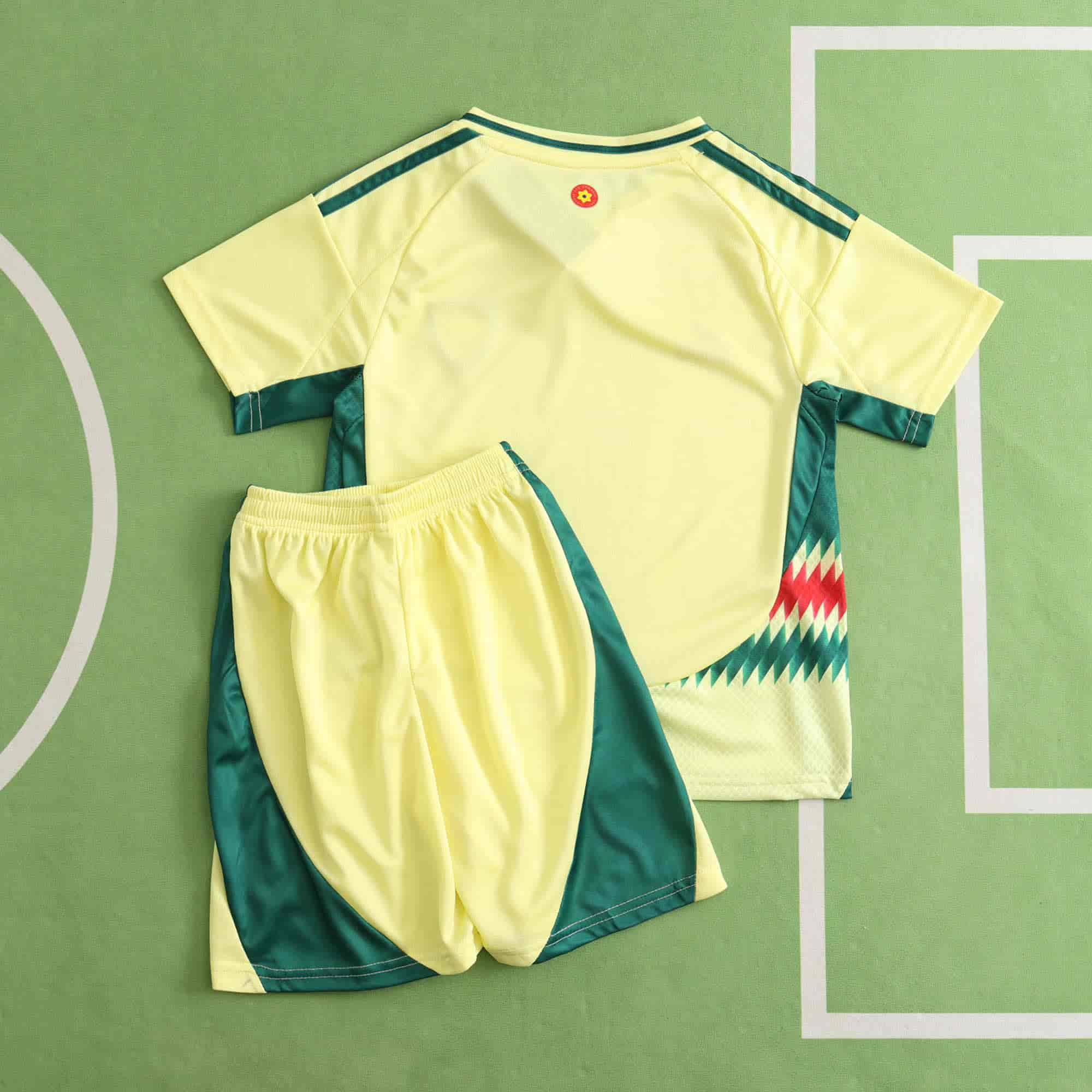 Wales 24-25 Away Kids