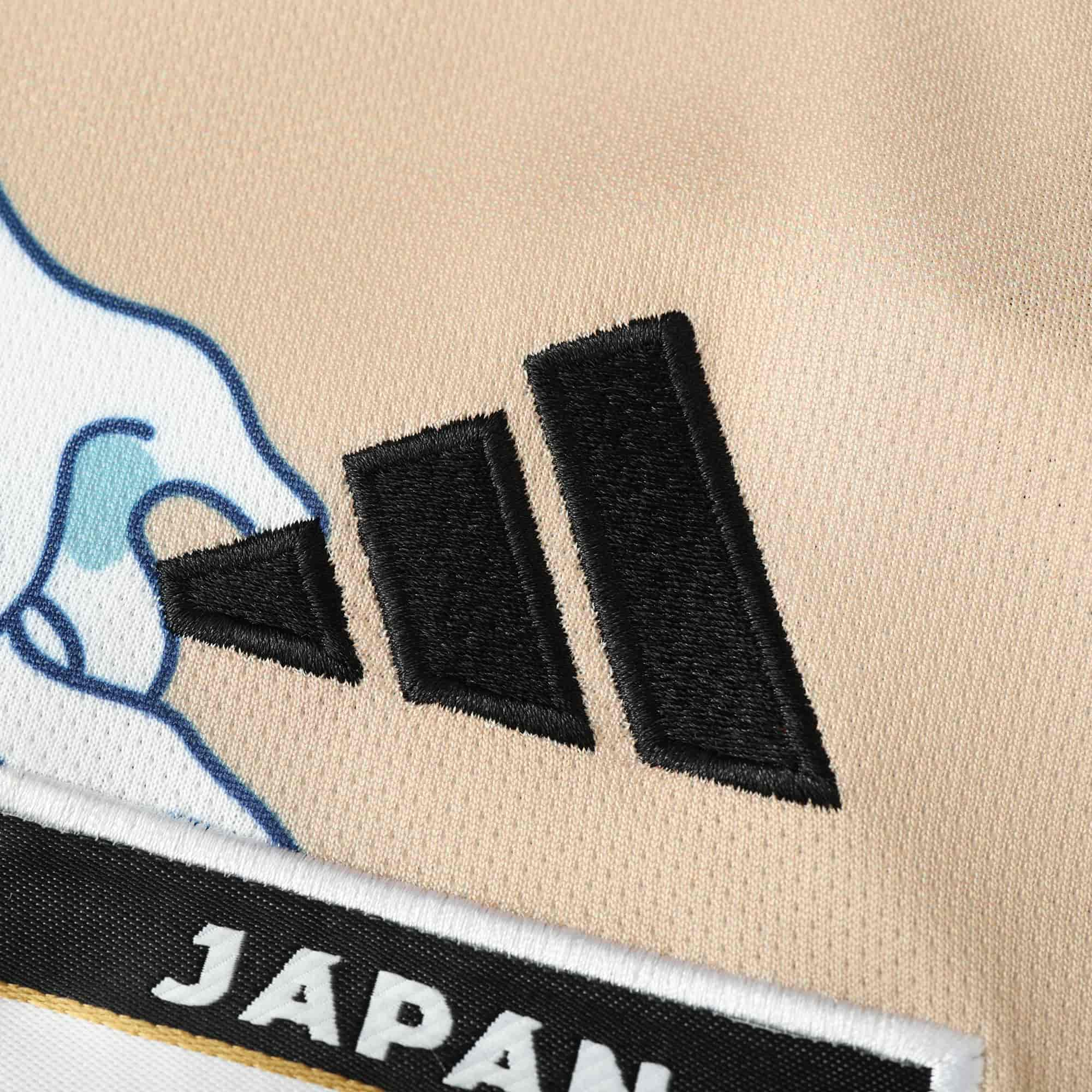 Japan 24-25 Concept