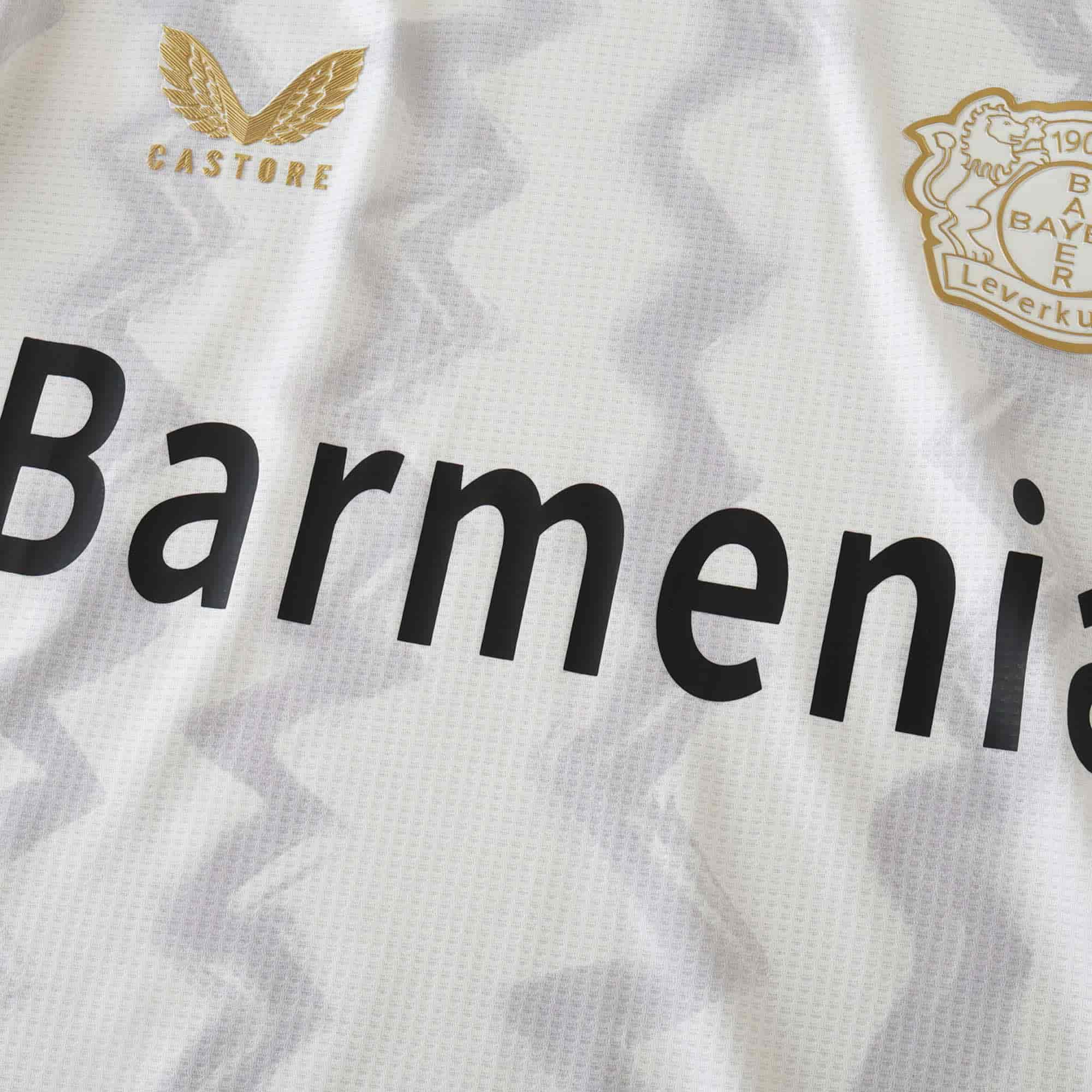 Bayer Leverkusen 24-25 Away