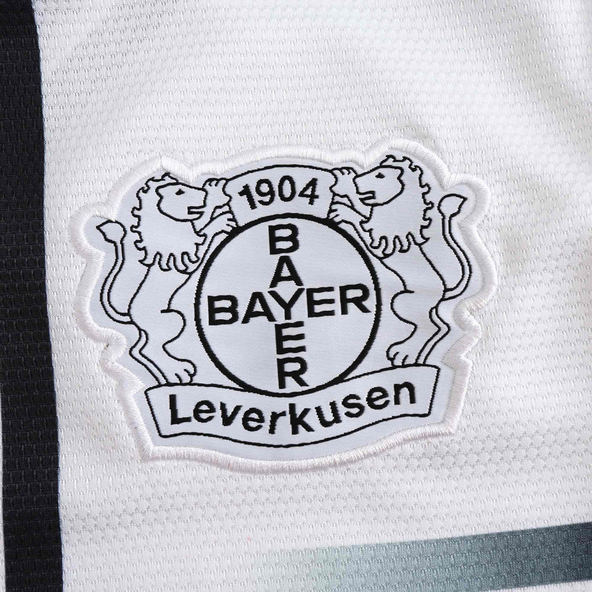 Bayer Leverkusen 24-25 Concept