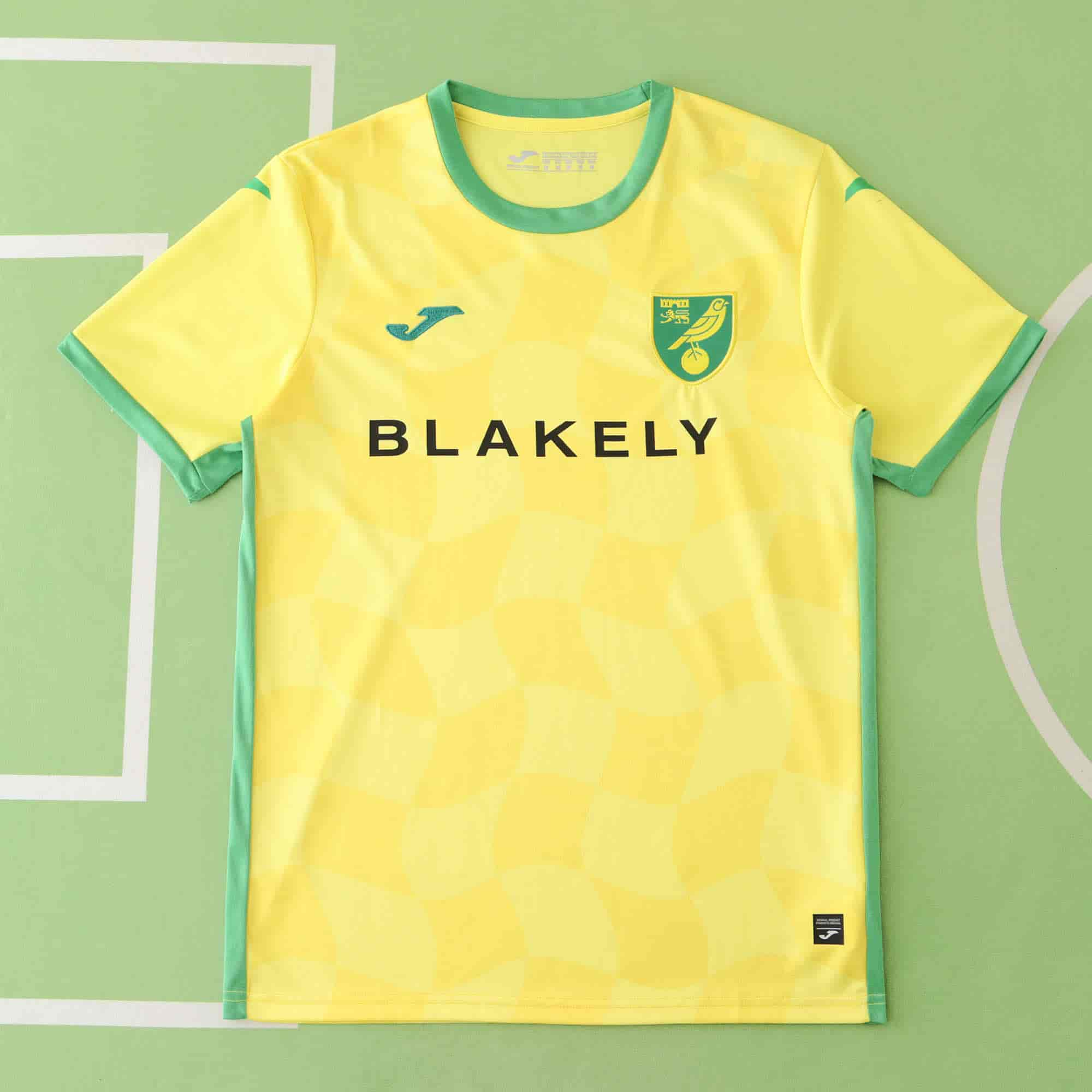 Norwich City 24-25 Home