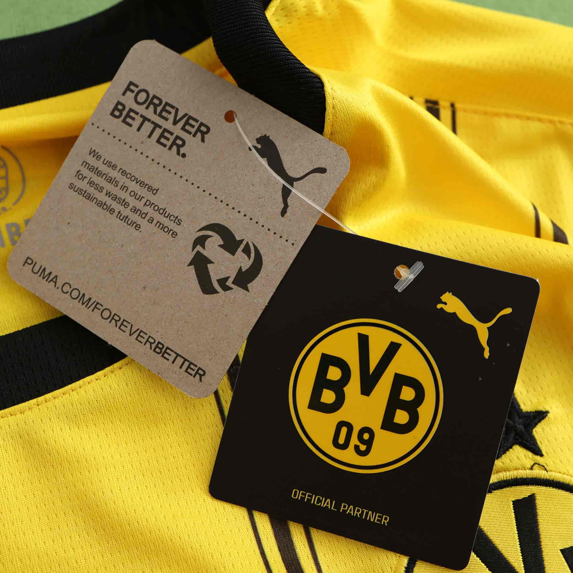 Borussia Dortmund 24-25 Home