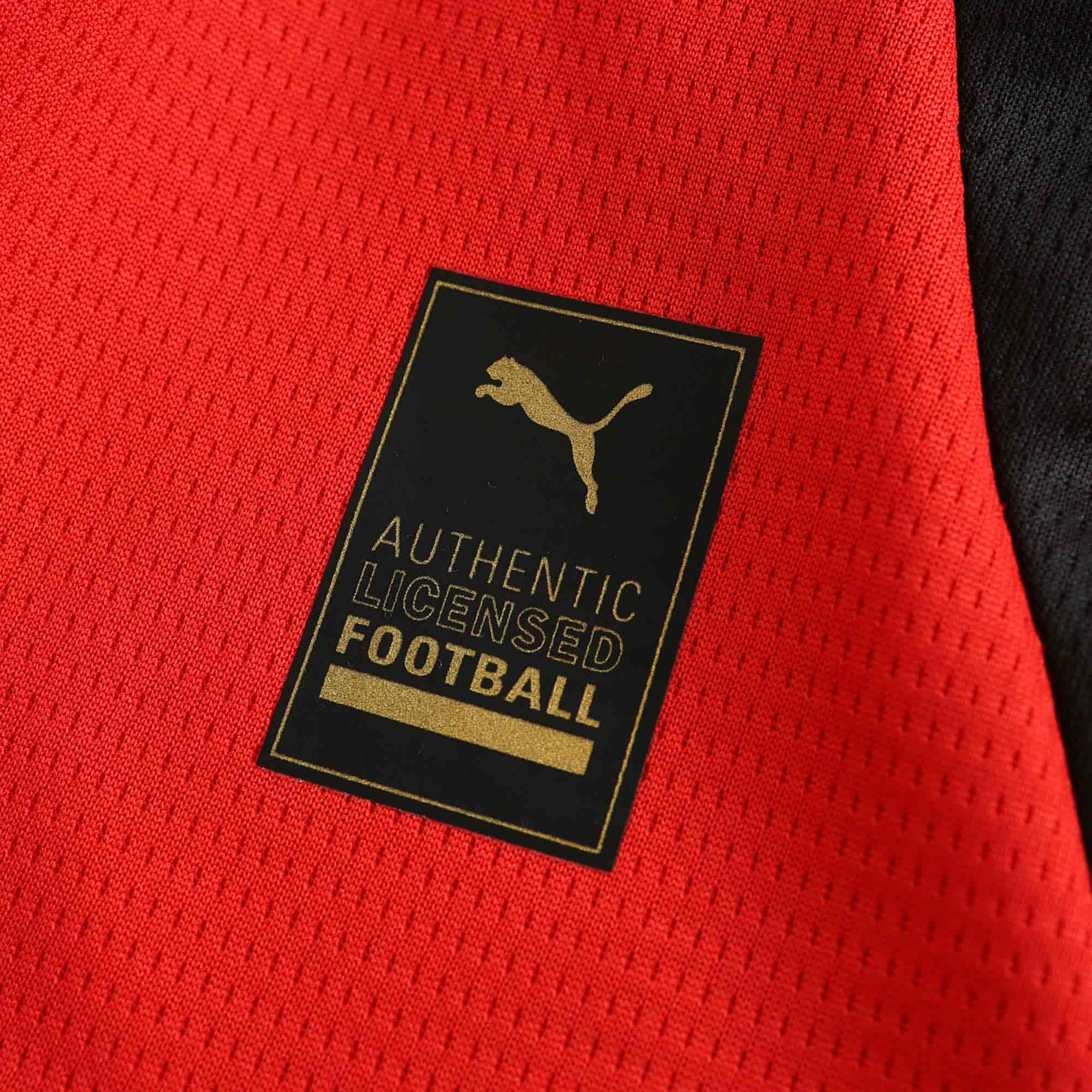 AC Milan 24-25 Home